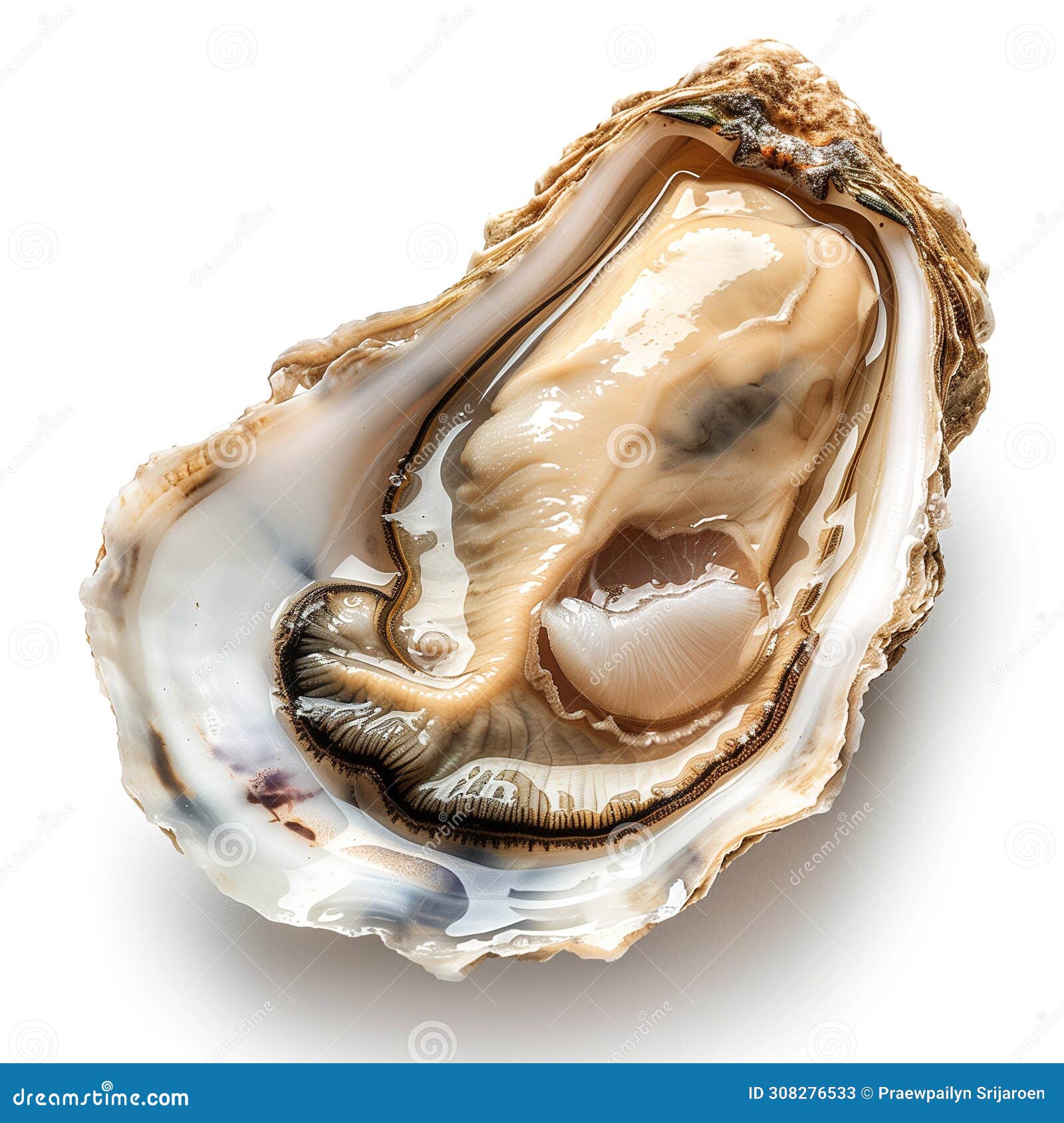 a detailed close-up of a freshly opened oyster, presenting its natural texture and briny essence, set against a white backdrop