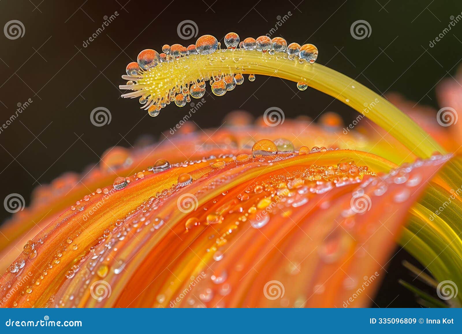 detailed close up view of a virus cell structure highlighting its unique features and 