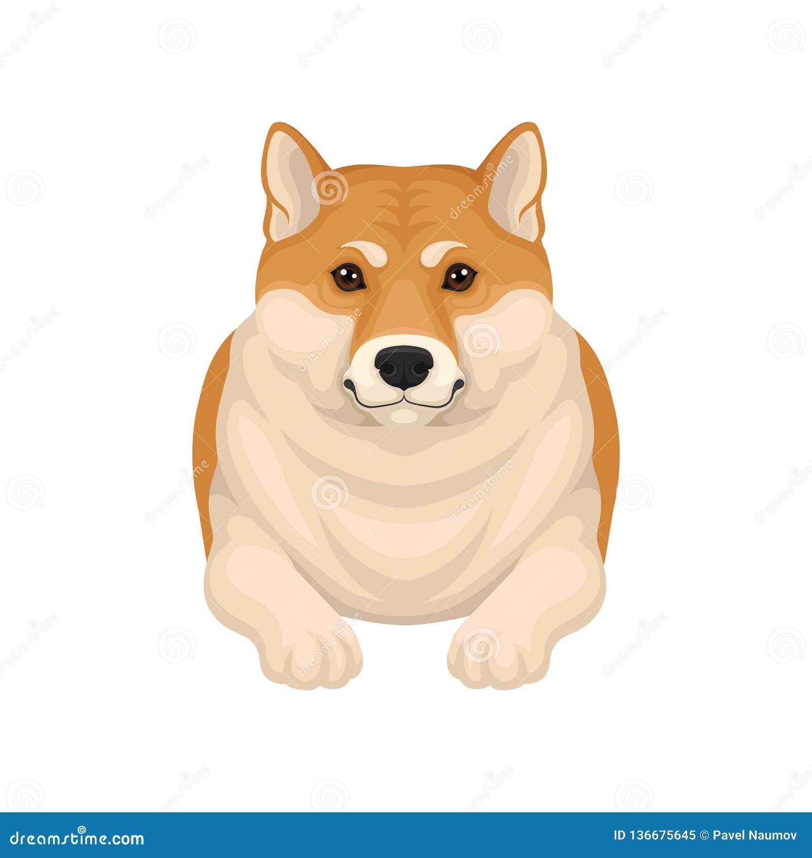 Detailed Flat Vector Portrait of Adorable Shiba Inu Lying on the Floor ...