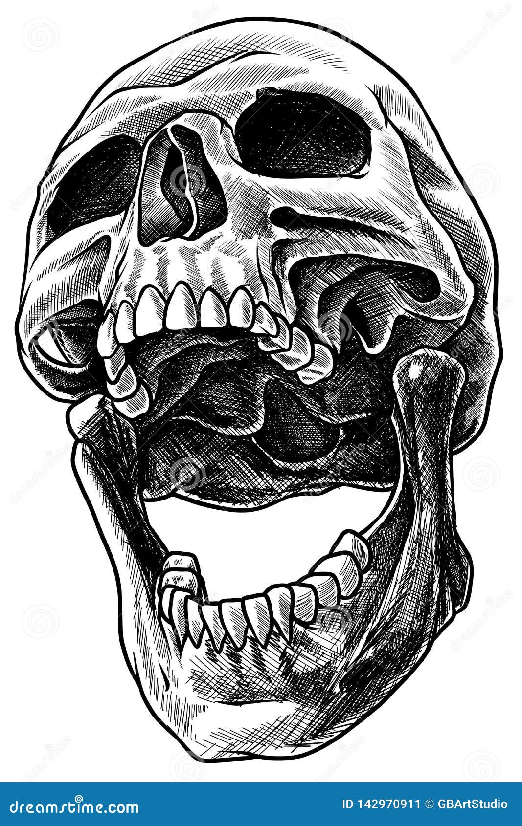 Detailed graphic realistic cool black and white human skull with open mouth...