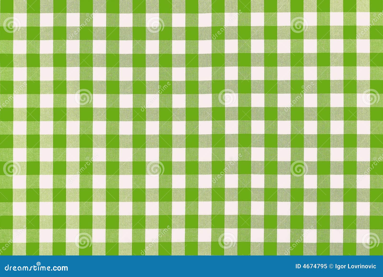 detailed green picnic cloth