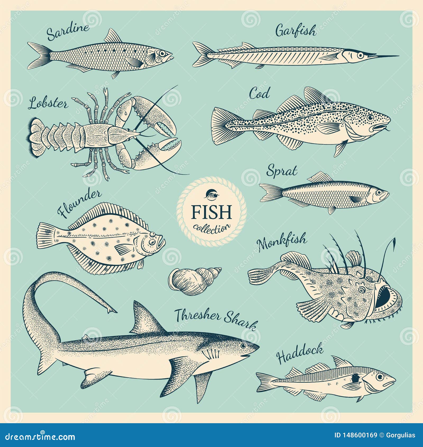 Sketch Of Haddock Fish. Underwater Wildlife Or Seafood Vector ...
