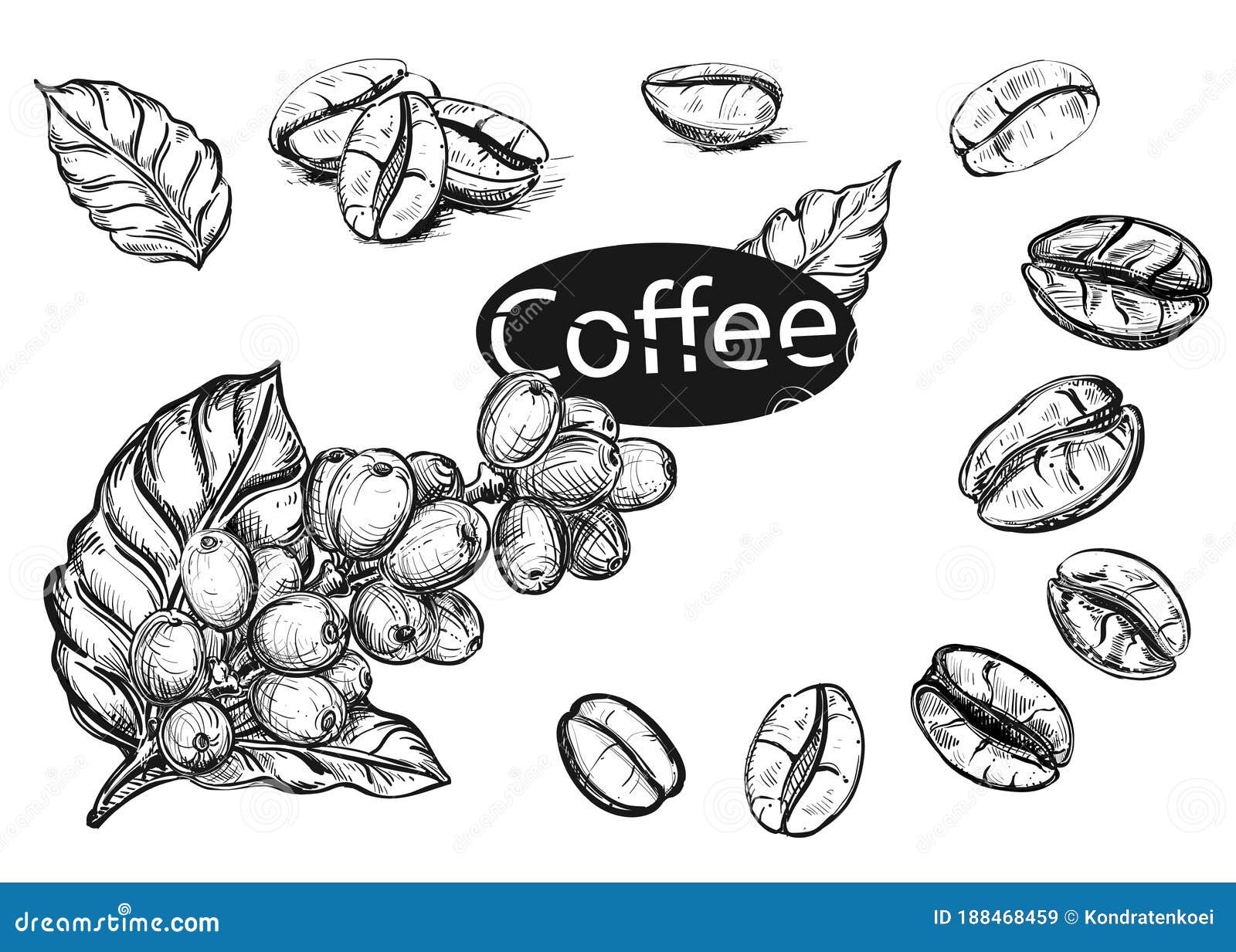 Hand Drawn of Mung Beans and Bean Sprout Stock Vector  Illustration of  cereal cuisine 104088626