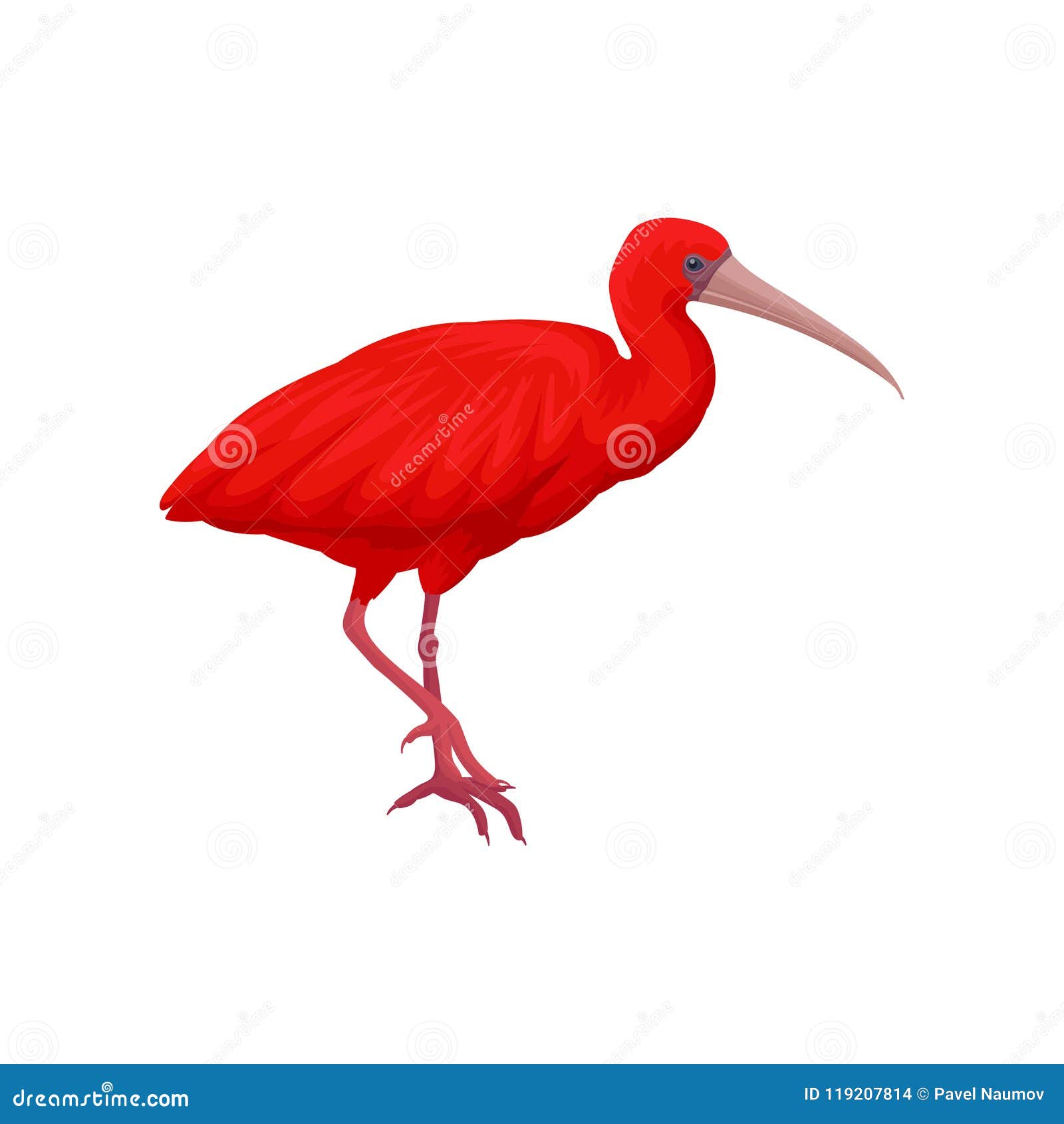 the scarlet ibis theme