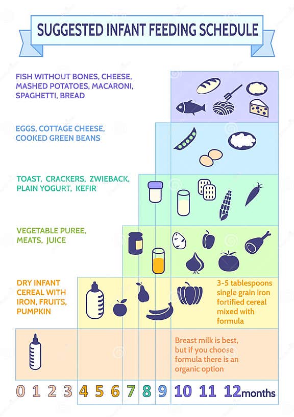 Detailed Information on Baby Food Infographic.baby S First Foods Stock ...
