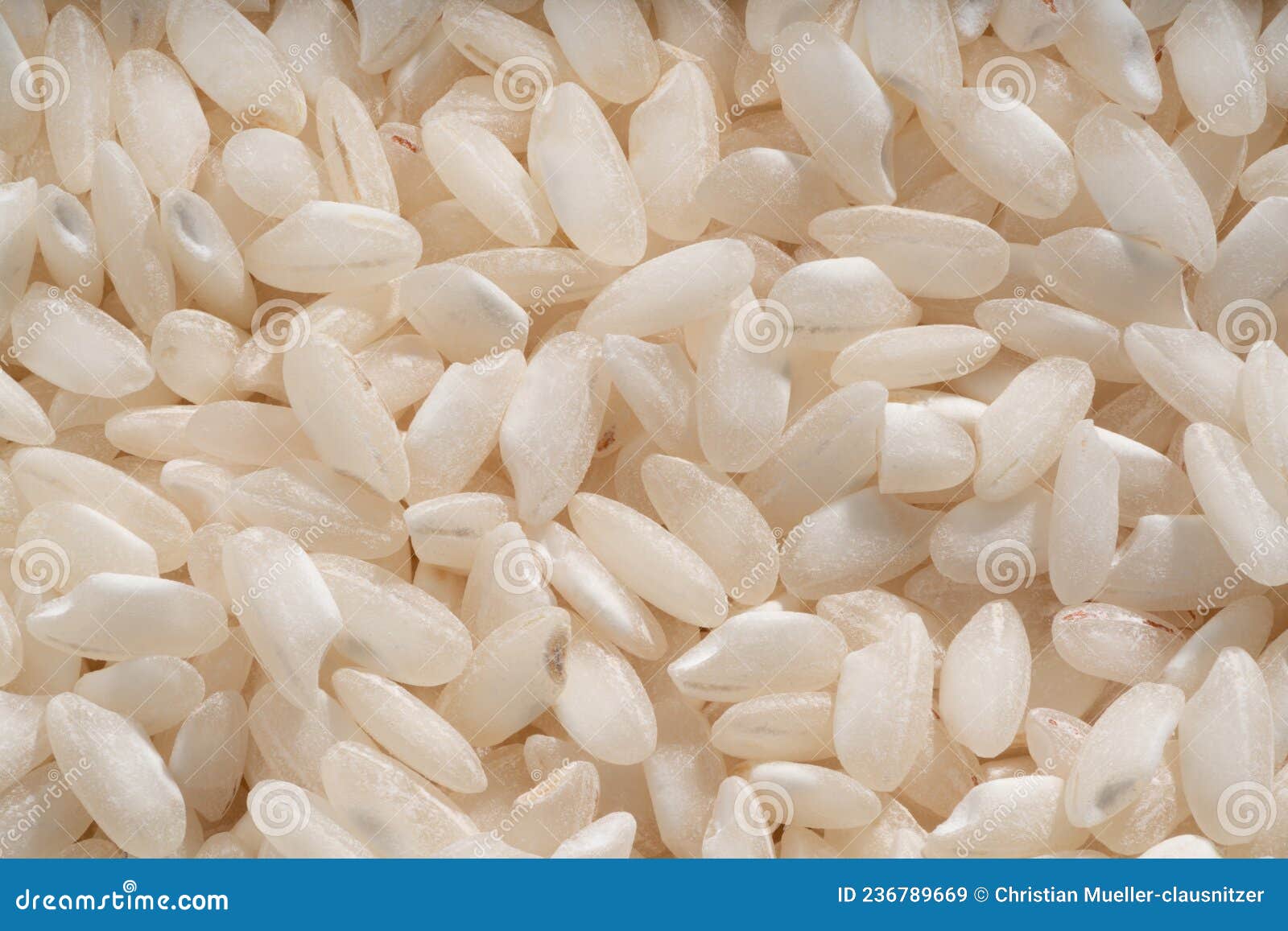 Large Close Up Shot of Risotto Rice Grain Stock Image Image of