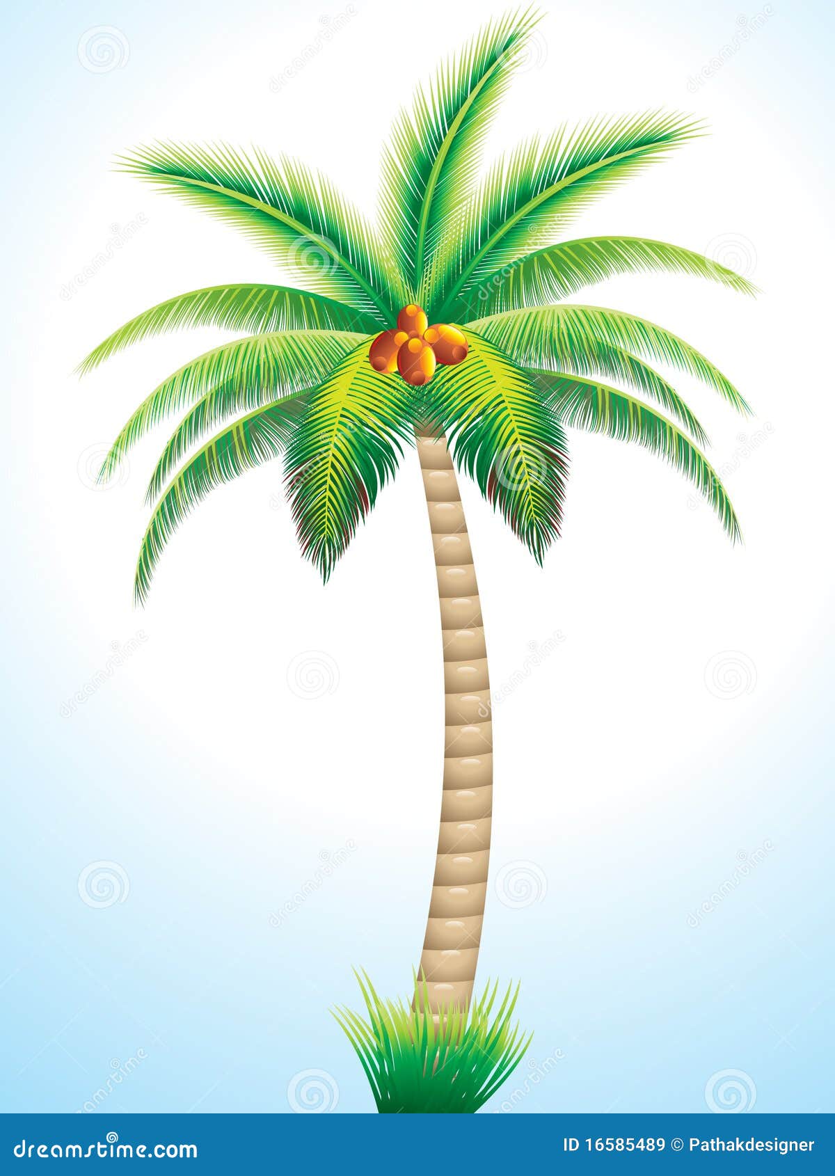 Tribal Coconut Palm Tree Drawing by Heather Schaefer - Pixels-saigonsouth.com.vn