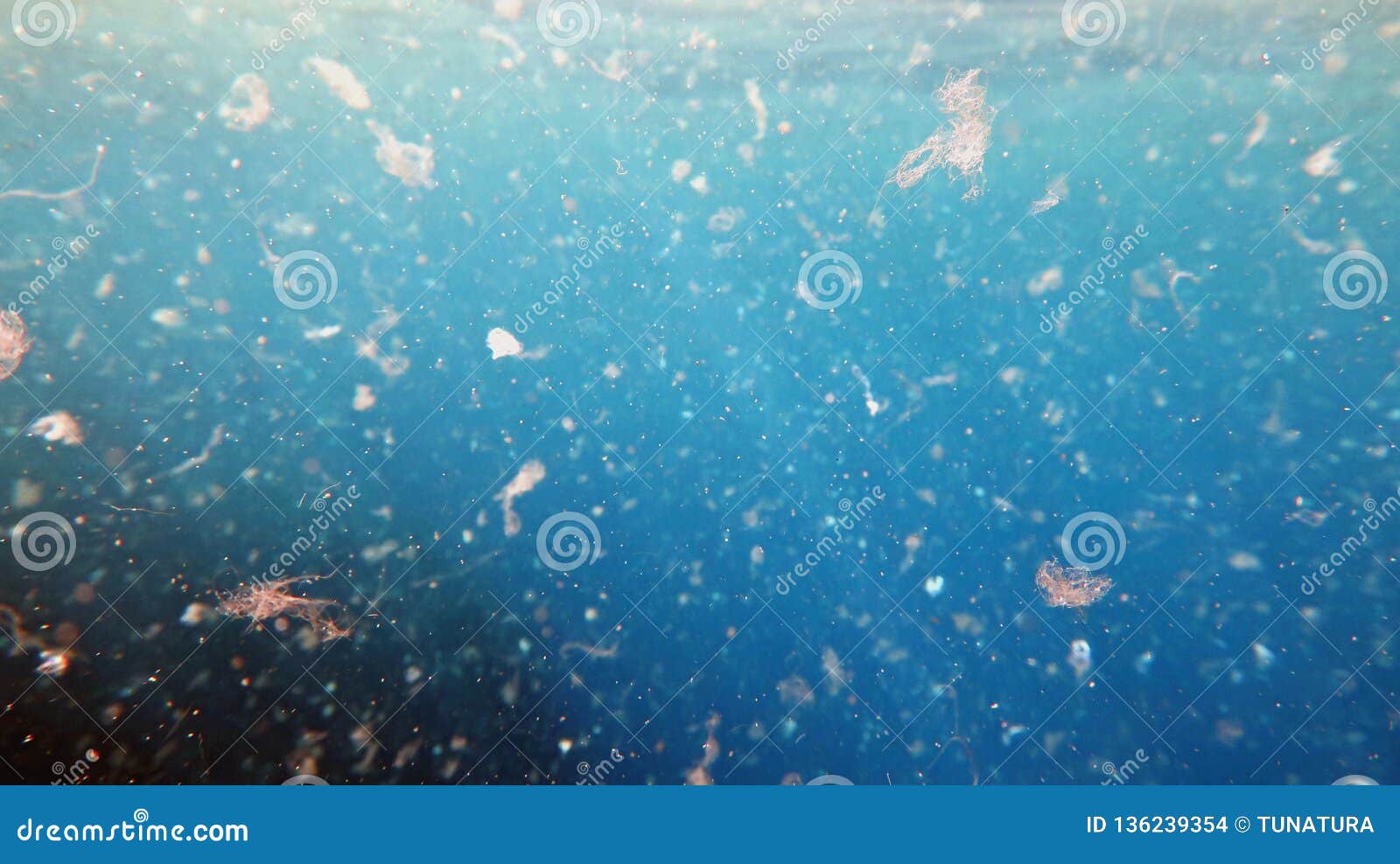 detailed photography of sea water contaminated by micro plastic.