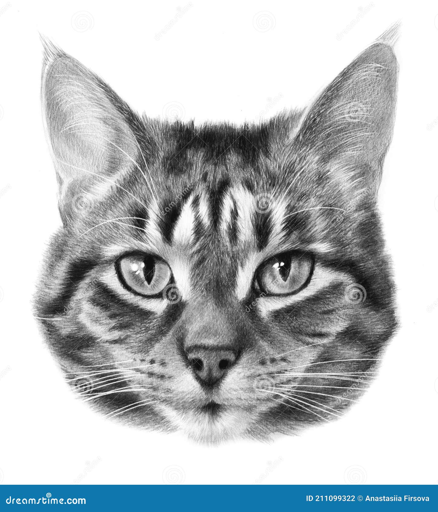 Artist Draws Incredibly Realistic Cat Faces Youll Want To Reach Out and  Touch  LaptrinhX  News