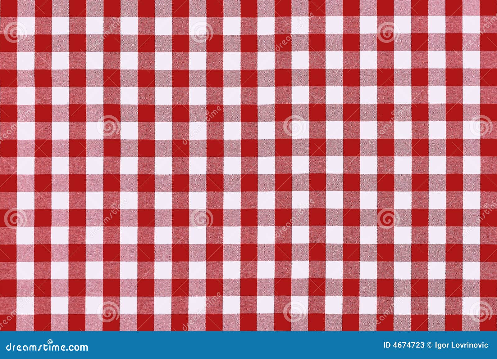 detailed red picnic cloth