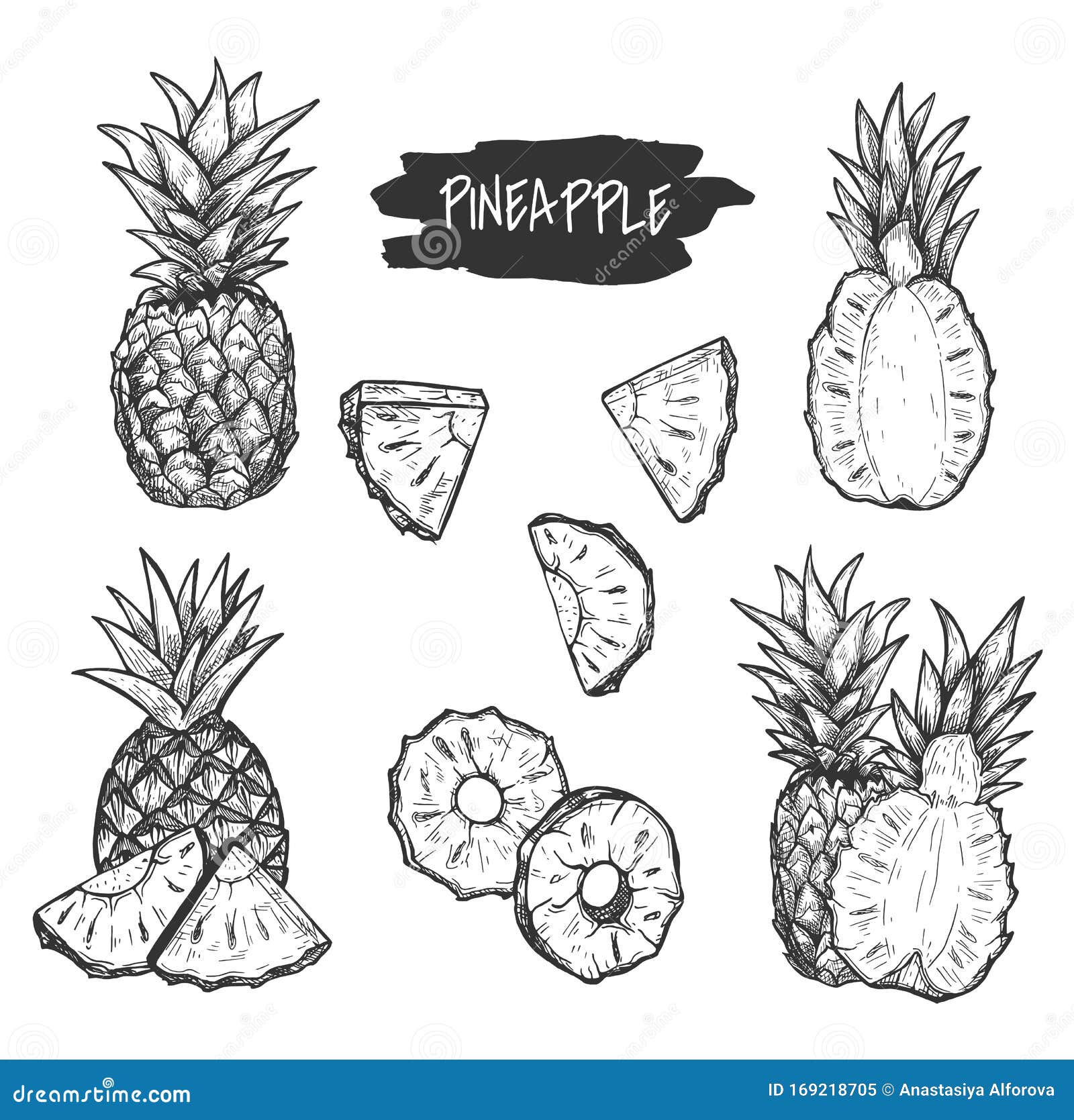 Download Ink Sketch Fruits Clipart Handdrawn Eps Ai Files Food Illustration Watercolor Vintage Drawing Pineapple Lemon Vector Avocado Stock Pattern Clip Art Art Collectibles