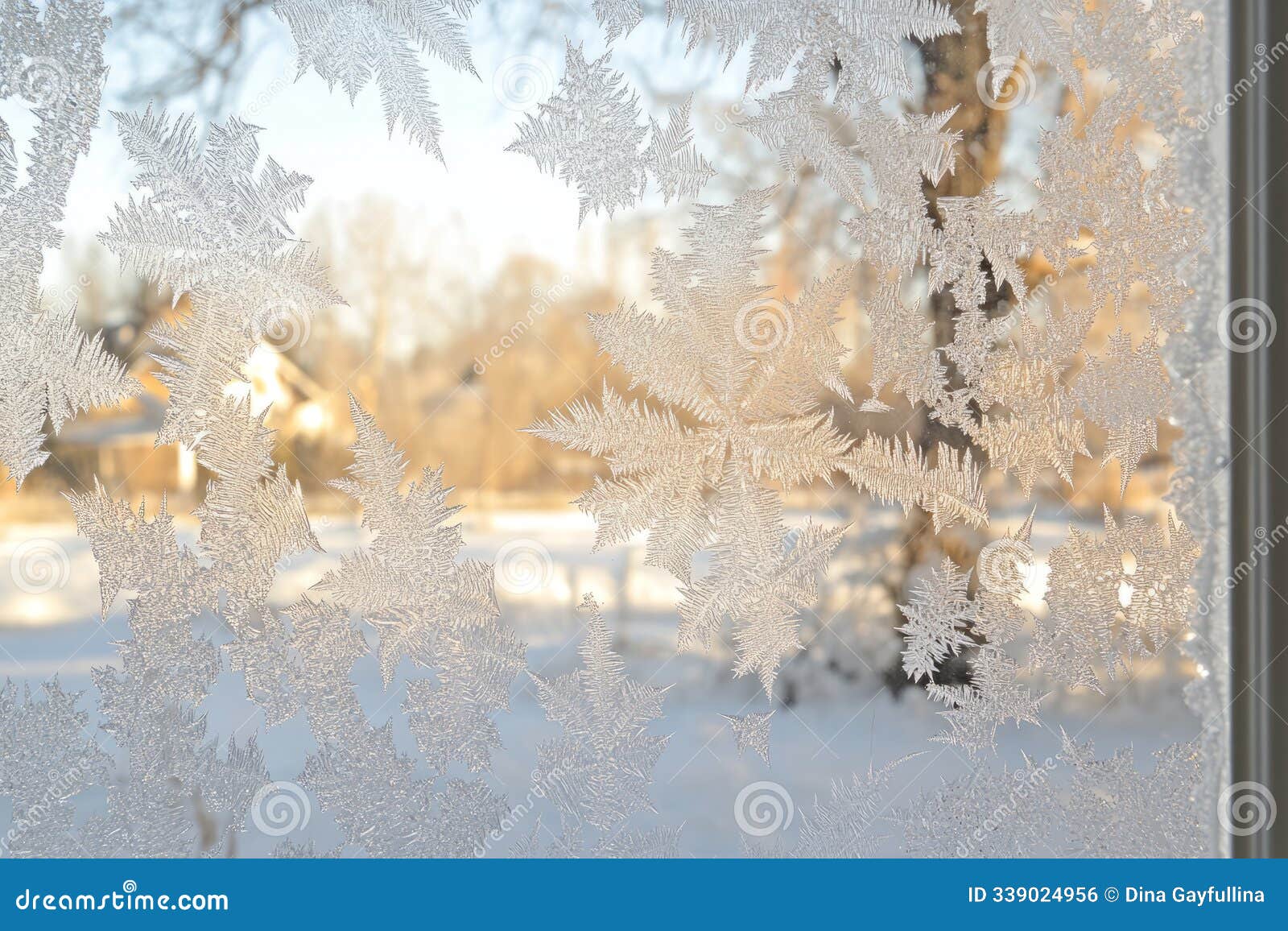 a detailed view of intricate frost patterns forming on a window