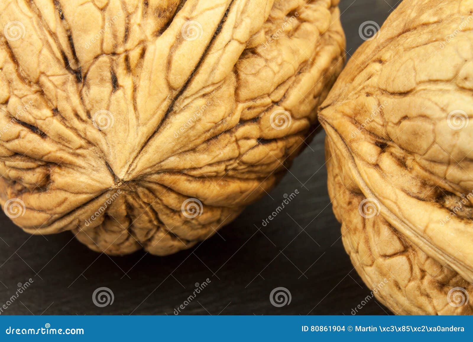 Detailed View of the Structure of the Shell of a Walnut. Super Foods for Human Brain. Healthy