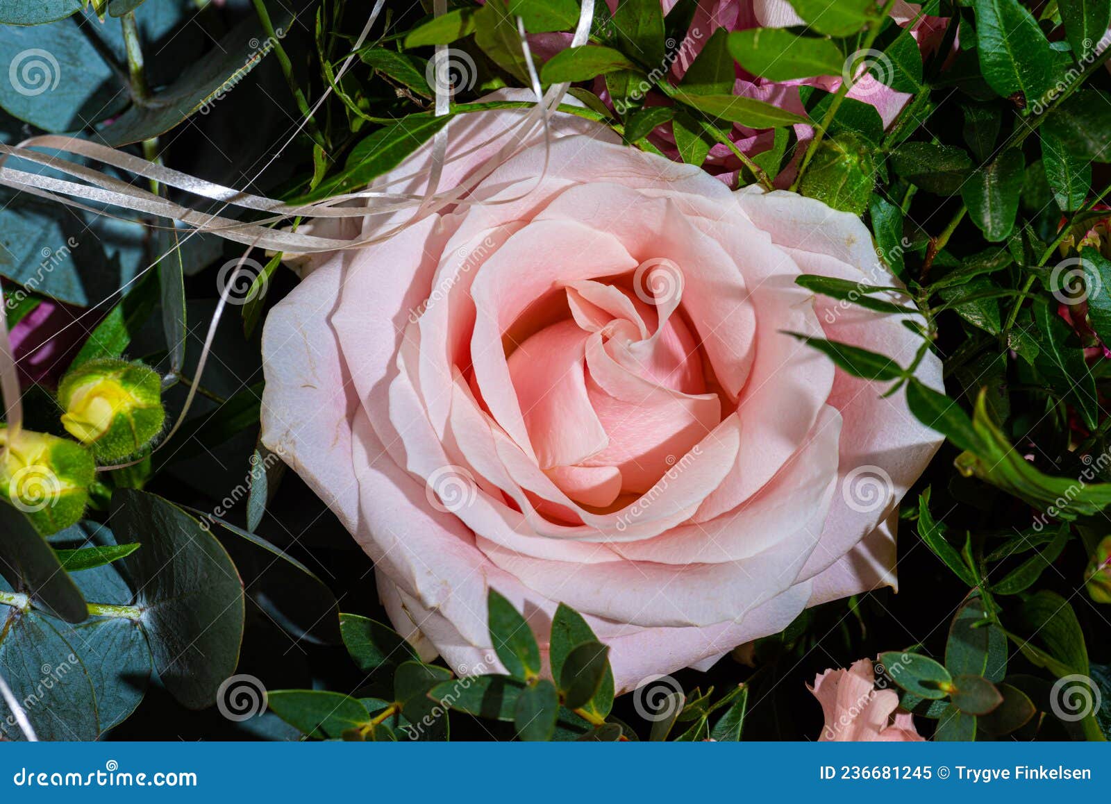 details of a pink rose bouquet..