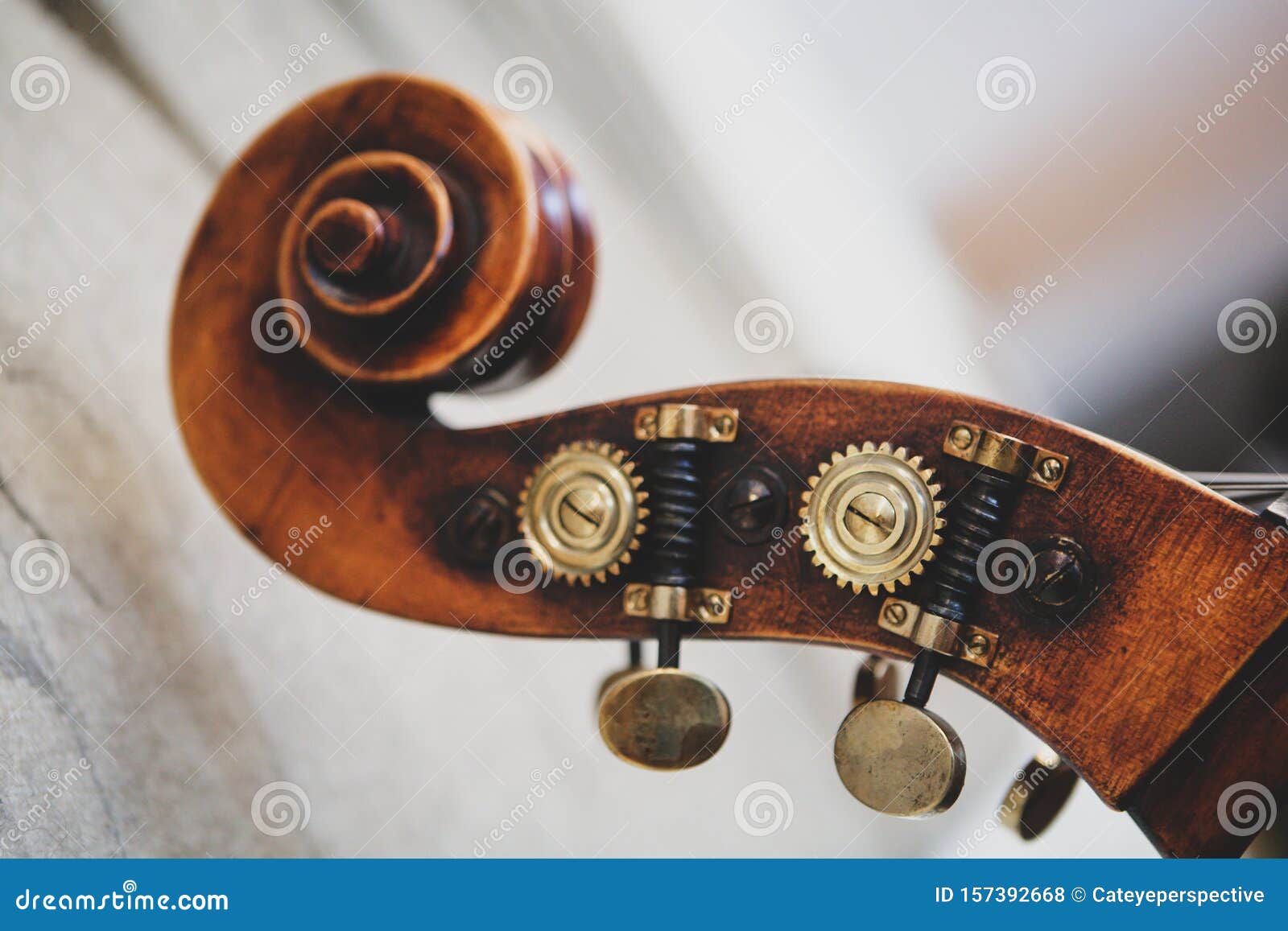 Double 2024 bass tuners