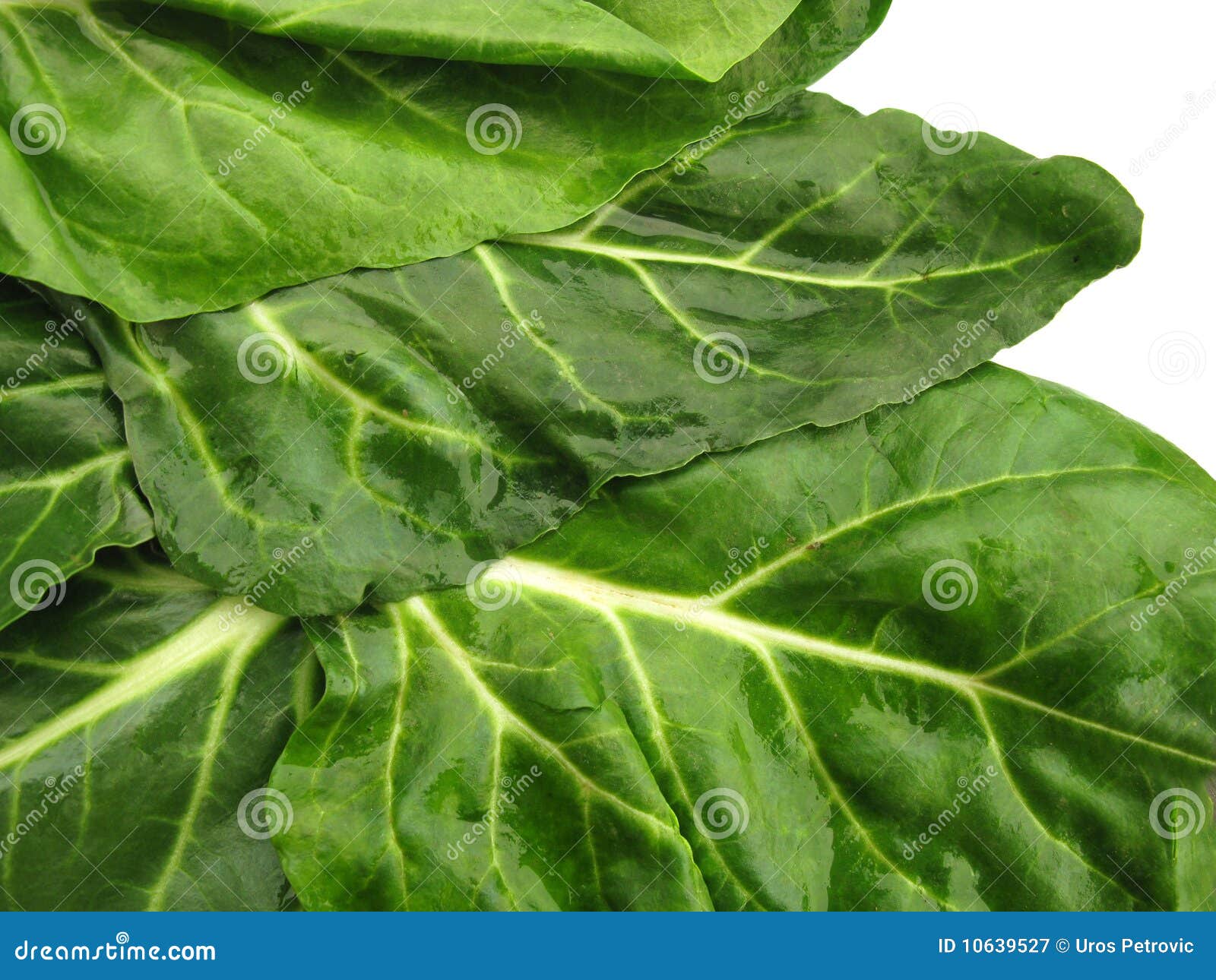 Details of spinach leaves stock image. Image of greenish 10639527