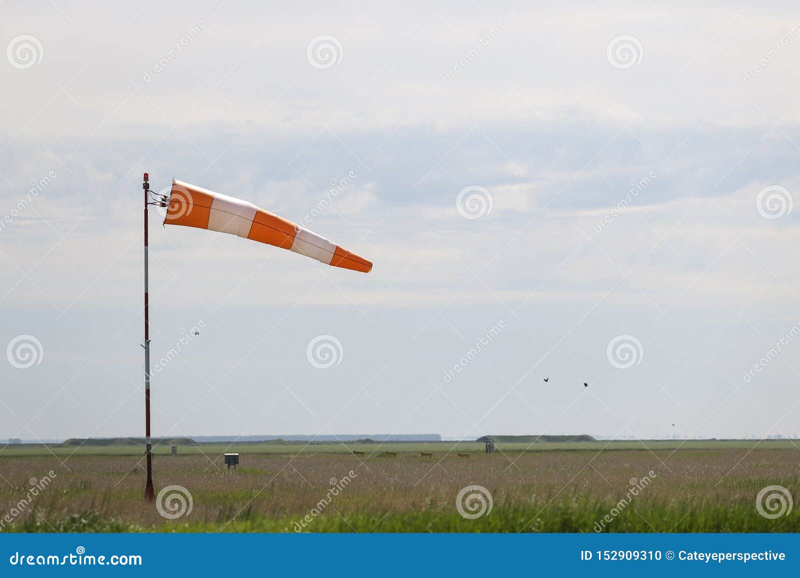 airport weather indicator airport weather indicator