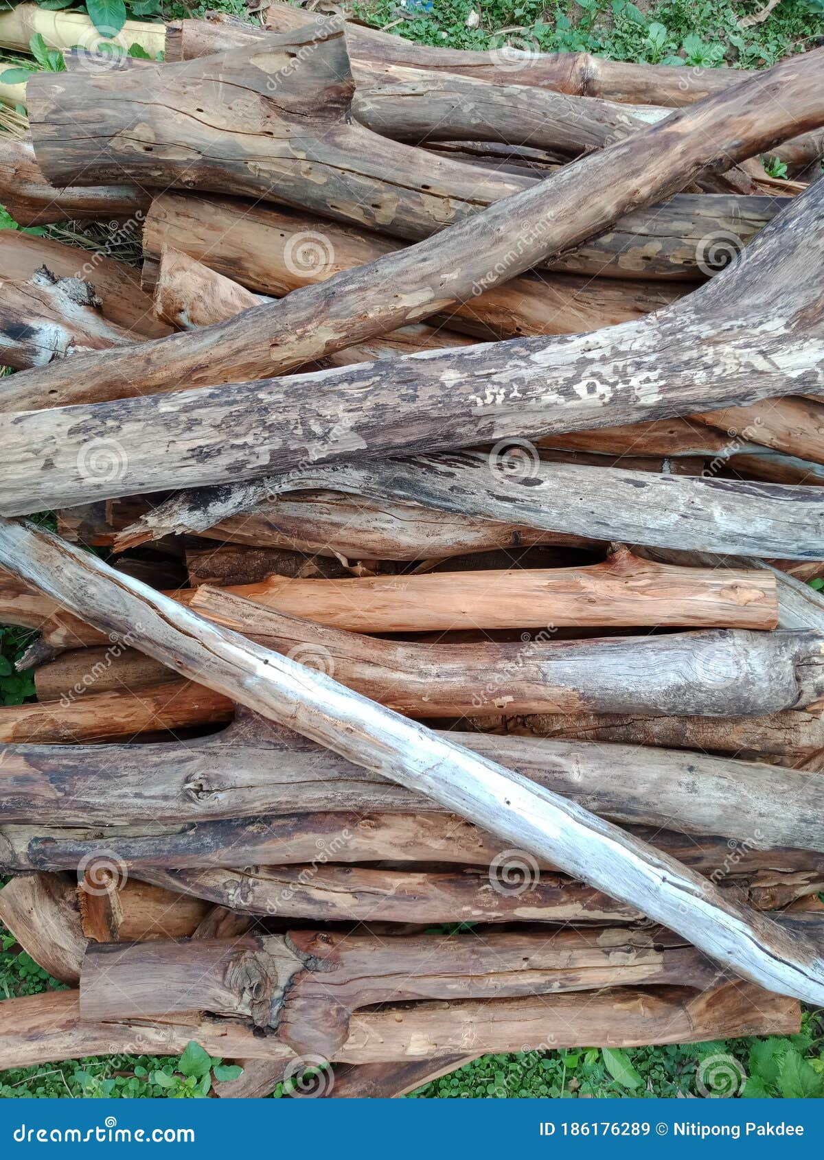 Details Wood And Useless Old Logs Can Be Made Into Firewood Stock Image Image Of Board Wood 186176289