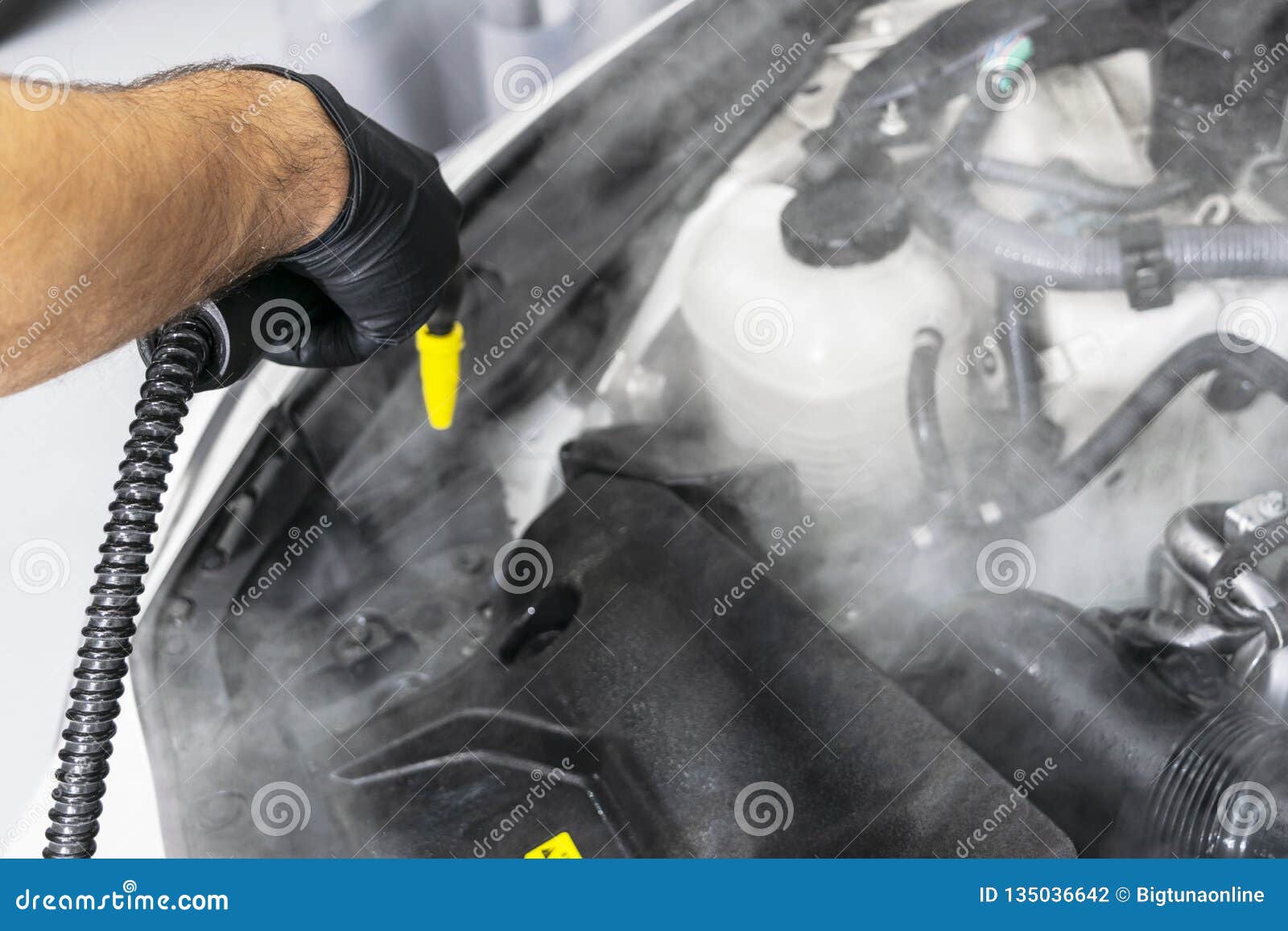 Detalle Del Coche Motor De La Limpieza Del Coche Que Se Lava Coche De La  Limpieza Usando El Vapor Lavado Del Motor De Vapor Ilumi Imagen de archivo  - Imagen de garaje