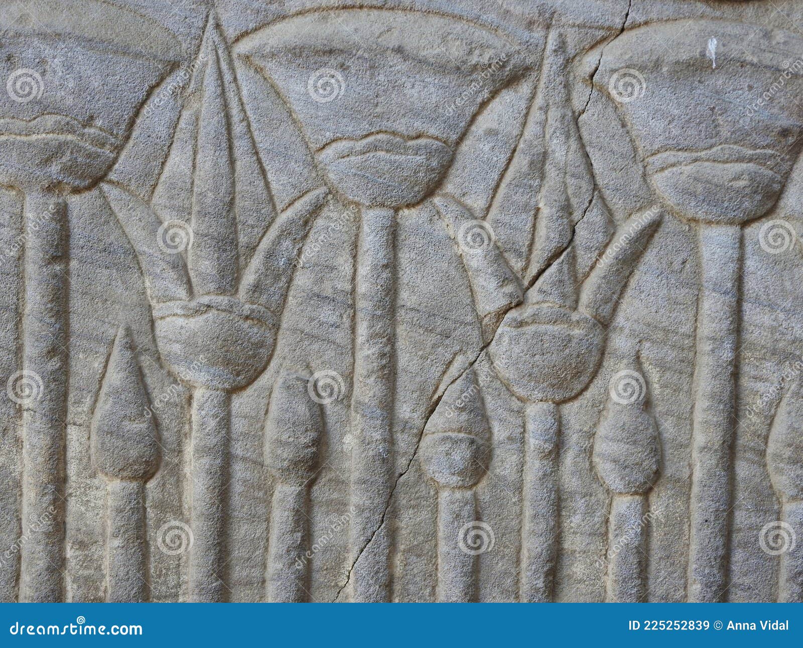 detalle  relieve flor de papiro templo de dendera .egipto.