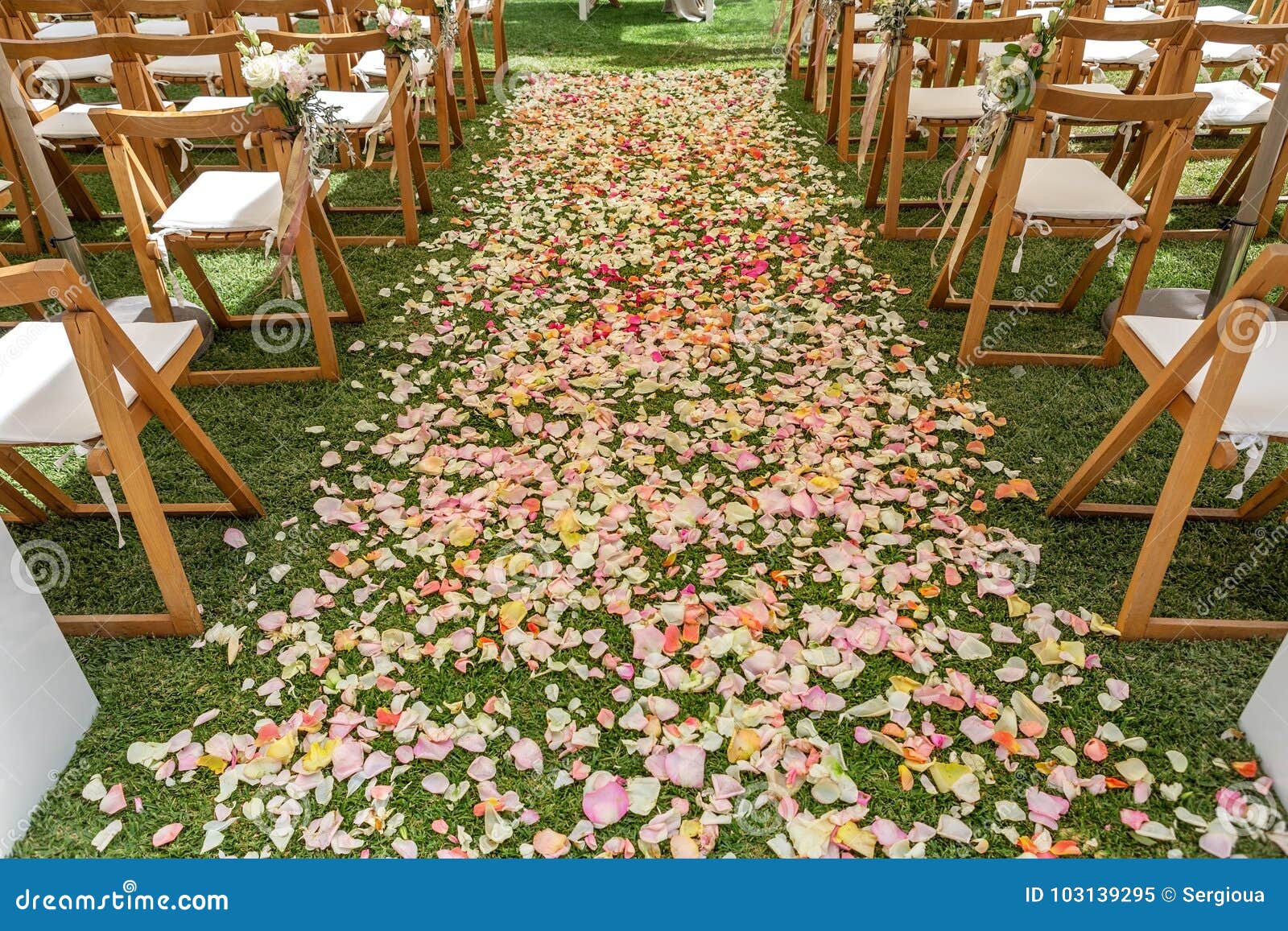 Detalles De La Ceremonia, De Las Flores Y De Los Pétalos De Boda Para La  Decoración Imagen de archivo - Imagen de costa, celebre: 103139295