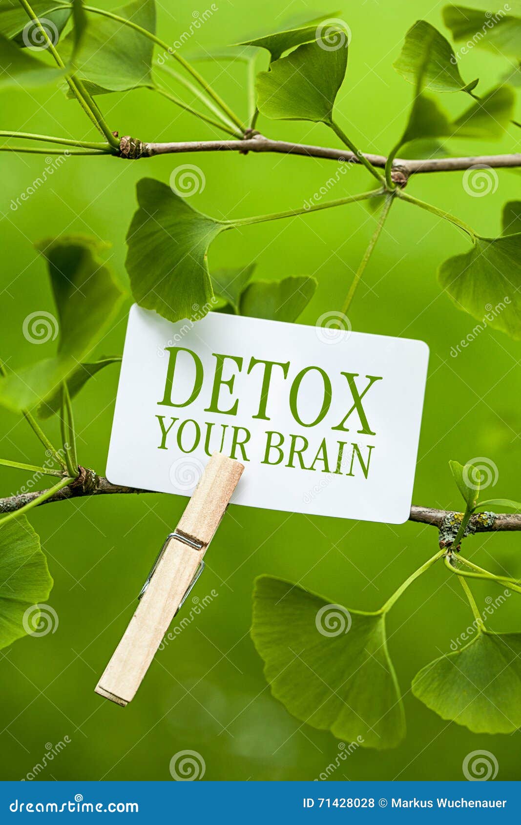 detox your brain