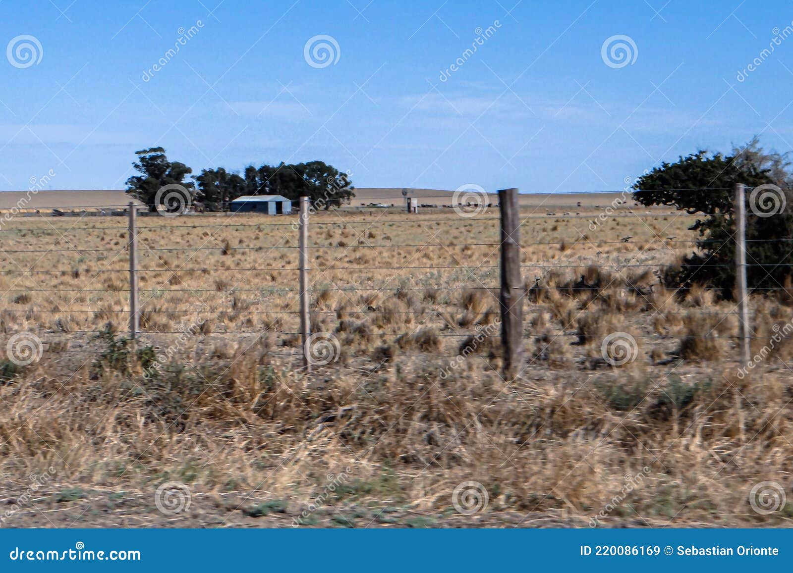 paisaje rural casco de estancia patagÃÂ³nica con galpon de chapa