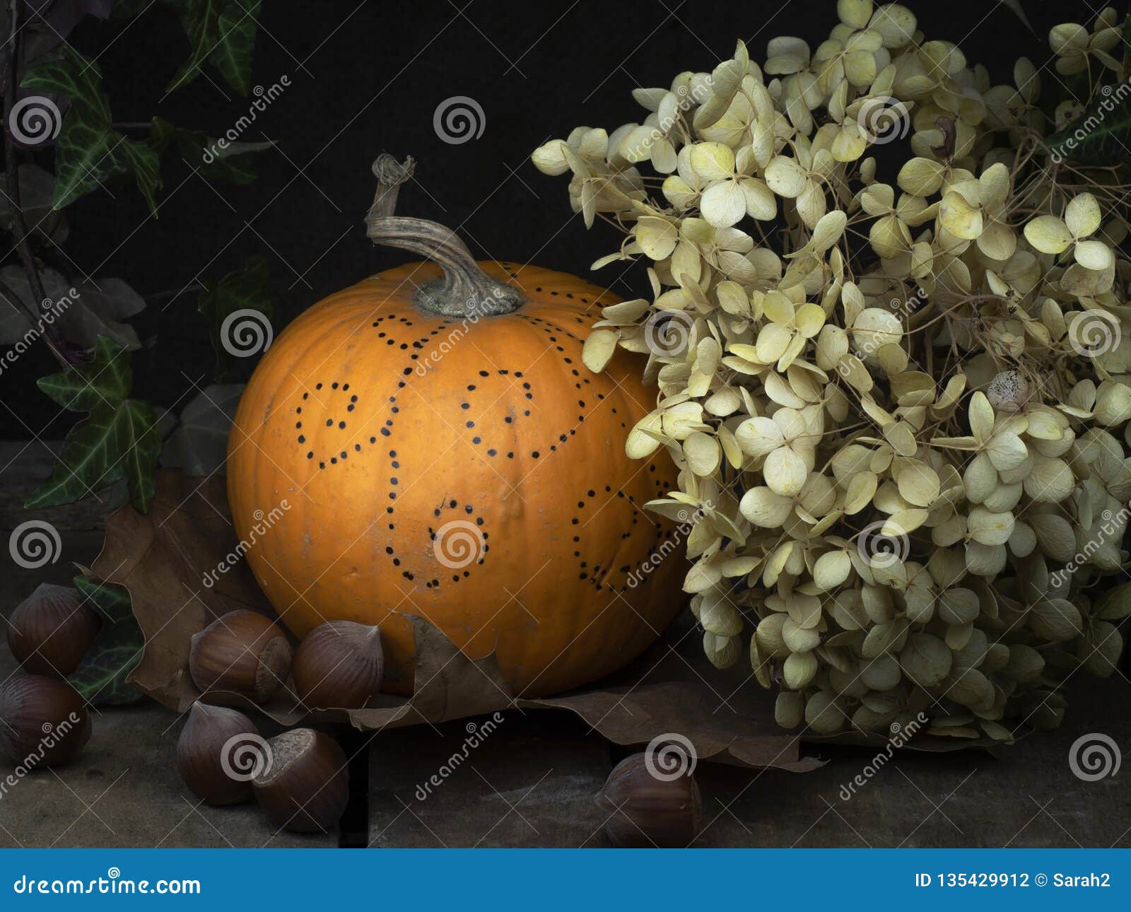 Dettaglio Di Natura Morta Di Autunno Piccola Zucca Decorata Zucca Con I Fiori Secchi Dell Ortensia Edera E Dadi Pittura Chiara Fotografia Stock Immagine Di Luce Baroque