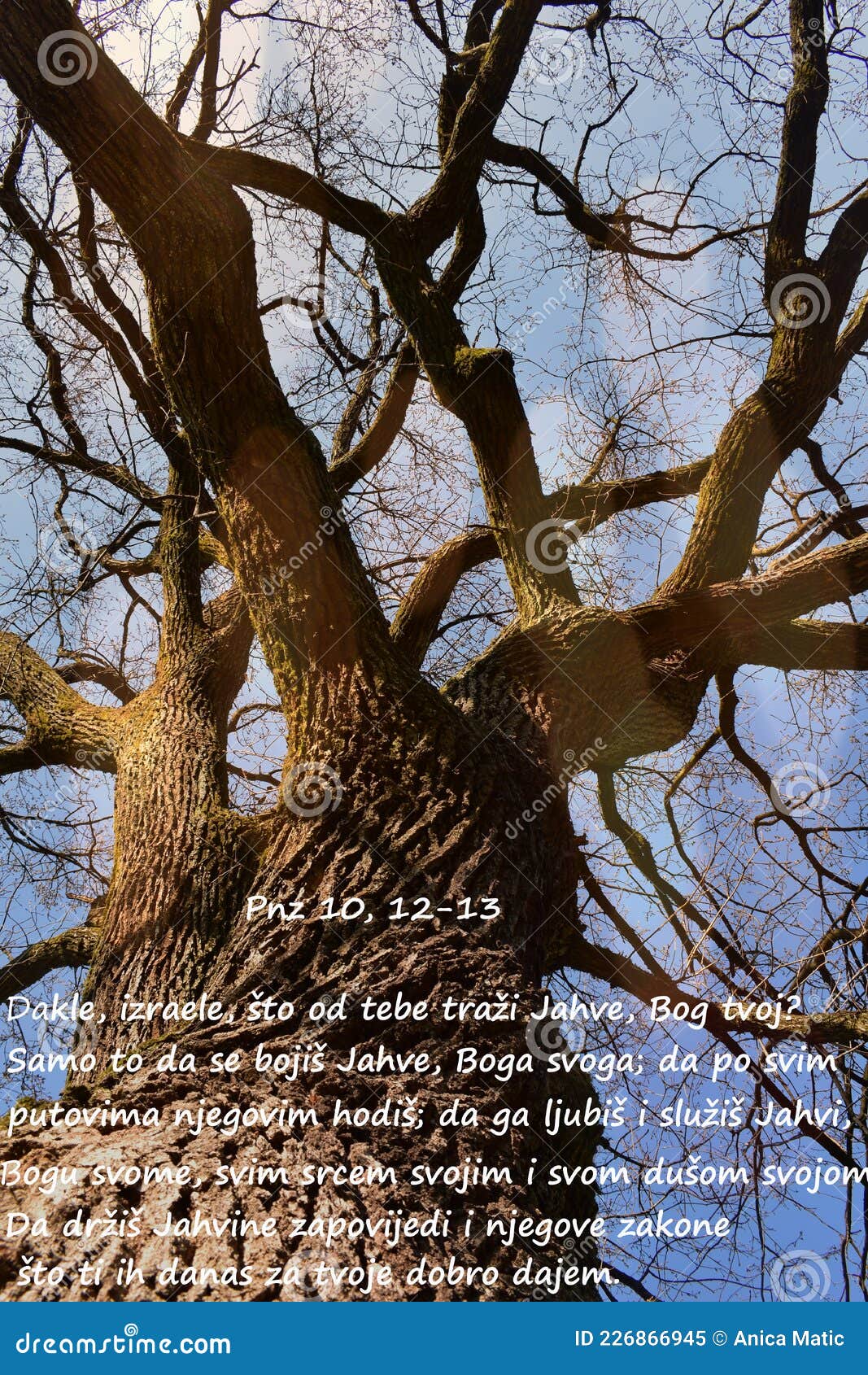 Deuteronomy 10, 1213 of the Bible. Stock Image Image of bible