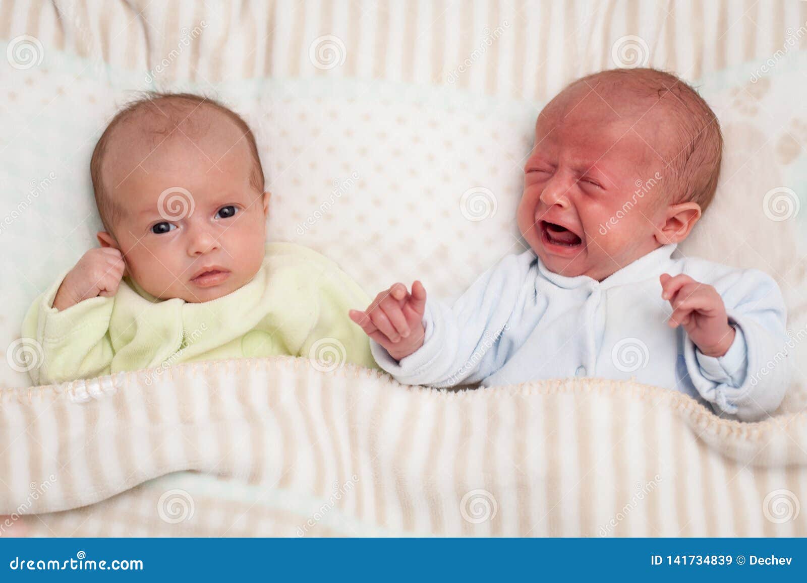 Deux Bebes Jumeaux Adorables On Regardant On Pleurant Image Stock Image Du Yeux Repos