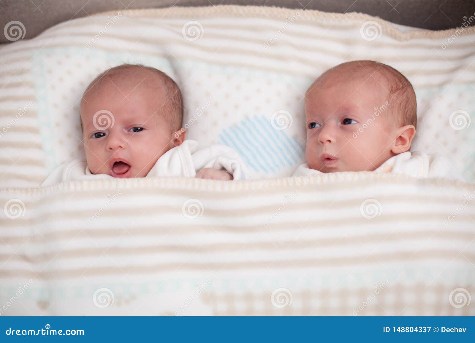 Deux B B S Jumeaux Adorables Se Trouvent Sur Le Lit Image Stock Image Du Triste Expression Deux B B S Jumeaux Adorables Se Trouvent Sur Le Lit Image Stock Image Du Triste Expression