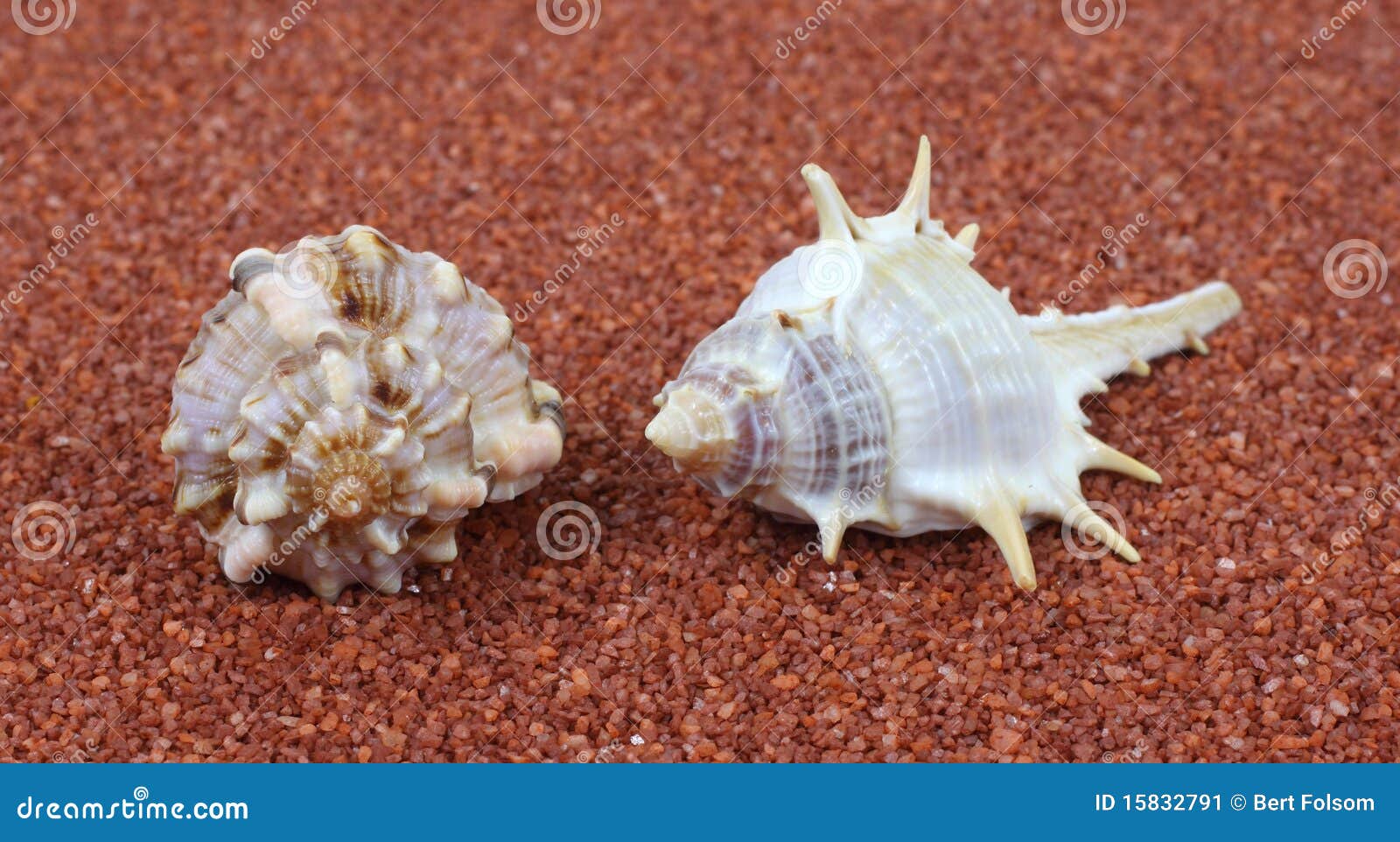 Deux interpréteurs de commandes interactifs spiralés sur le sable brut. Deux interpréteurs de commandes interactifs sur une rouille ont coloré le fond brut de sable.