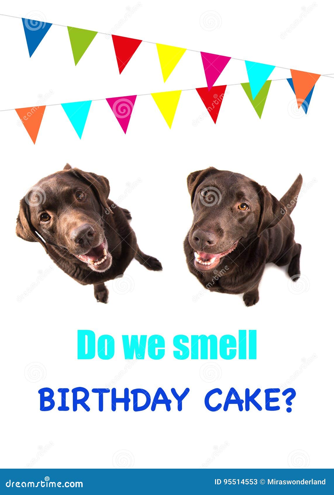 Deux Le Chien Que Brun De Labrador Retriever Recherchant Avec Le Texte Font Nous Sentent Le Gateau D Anniversaire Sur Une Carte D Image Stock Image Du Labrador Blanc Deux Le Chien Que Brun De Labrador Retriever Recherchant Avec Le Texte Font Nous Sentent Le Gateau D Anniversaire Sur Une Carte D Image Stock Image Du Labrador Blanc