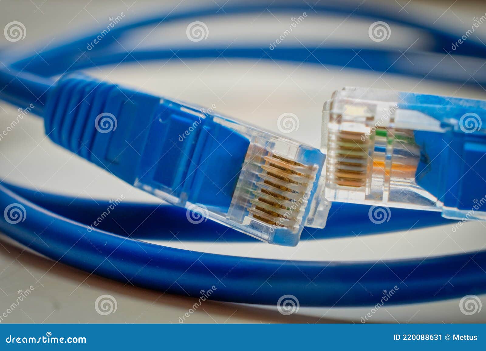 Deux Prises Réseau Rj45 De Couleur Bleue Macro. Rj45 Bleu Cat6 Blindé Câble  Internet De Données Réseau Dans Les Bobines Et Les Con Image stock - Image  du réseau, ordinateur: 220088631