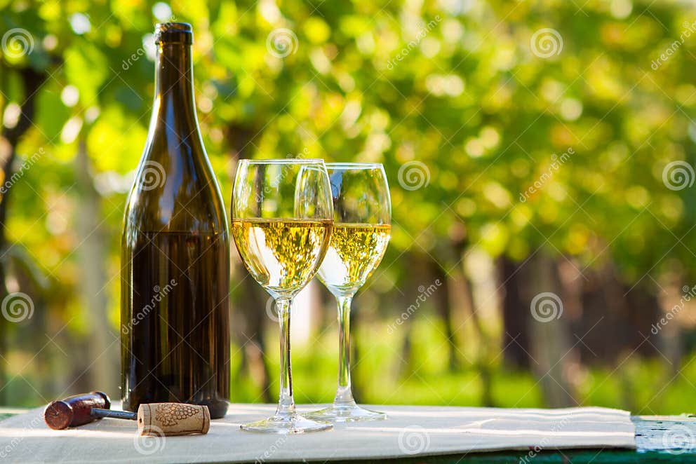 Deux verres de vin blanc photo stock. Image du grand 34099482