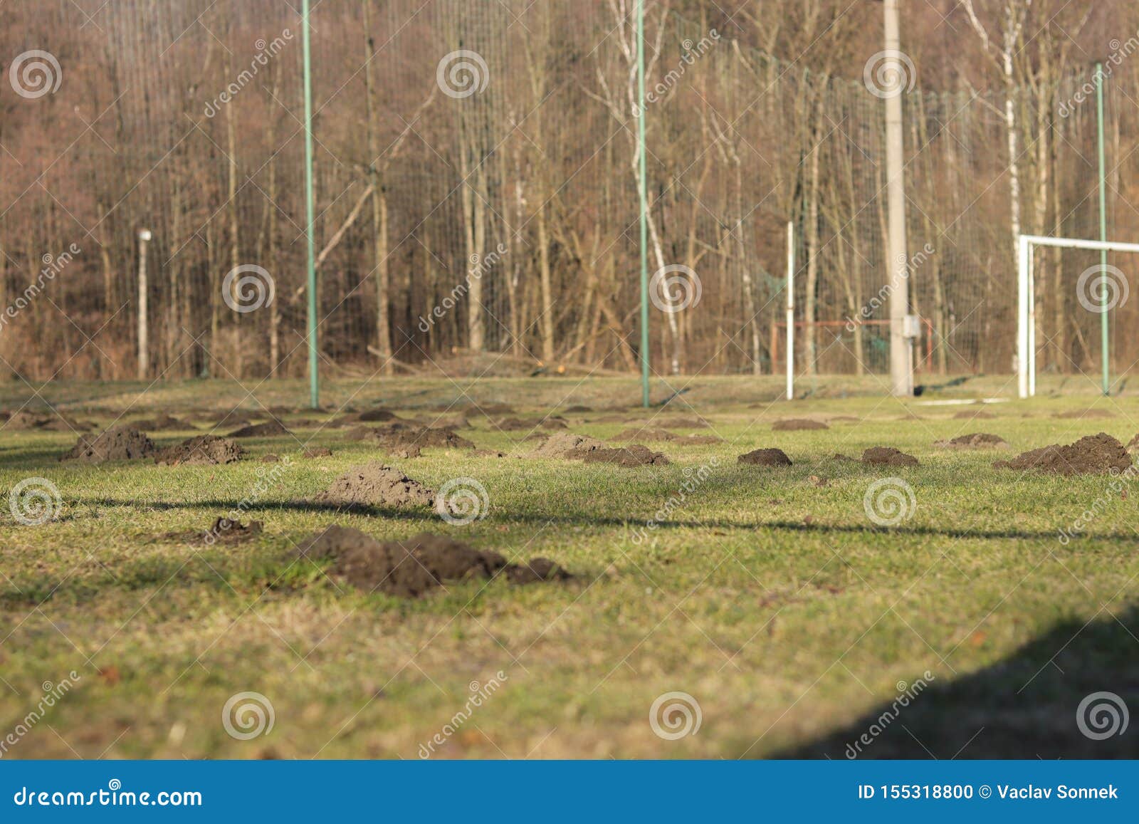 Devastate Soccer Field Before Next Season Of Village League Administrator Will Have Much Work With Repair This Field Bad Stock Photo Image Of Grass Game 155318800