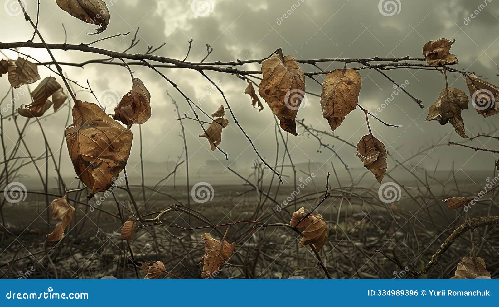 the devastating impact of acid rain on trees a stark reminder of environmental pollution s threats