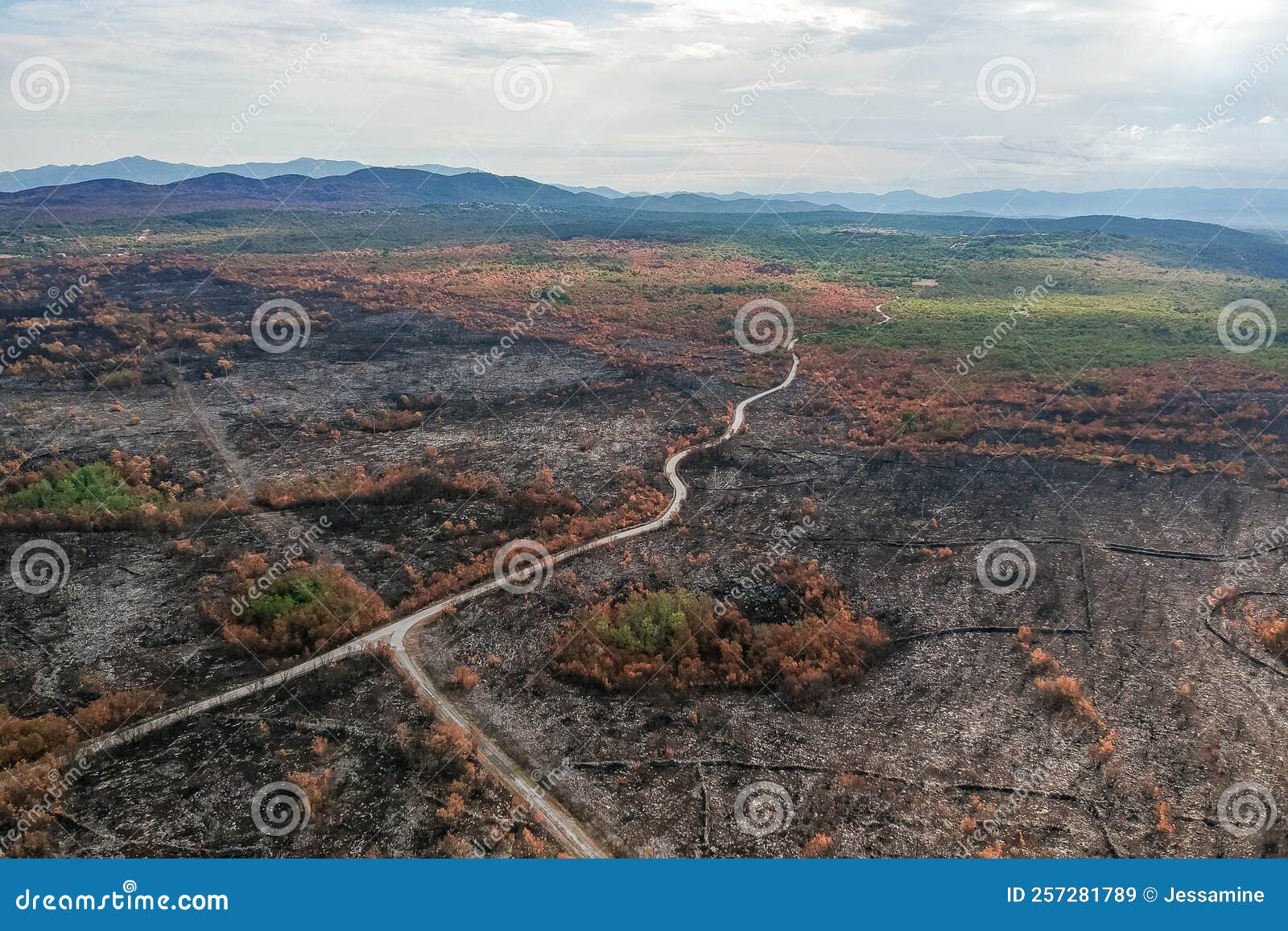 devastating scenes after big summer wildfires in karst region in slovenia