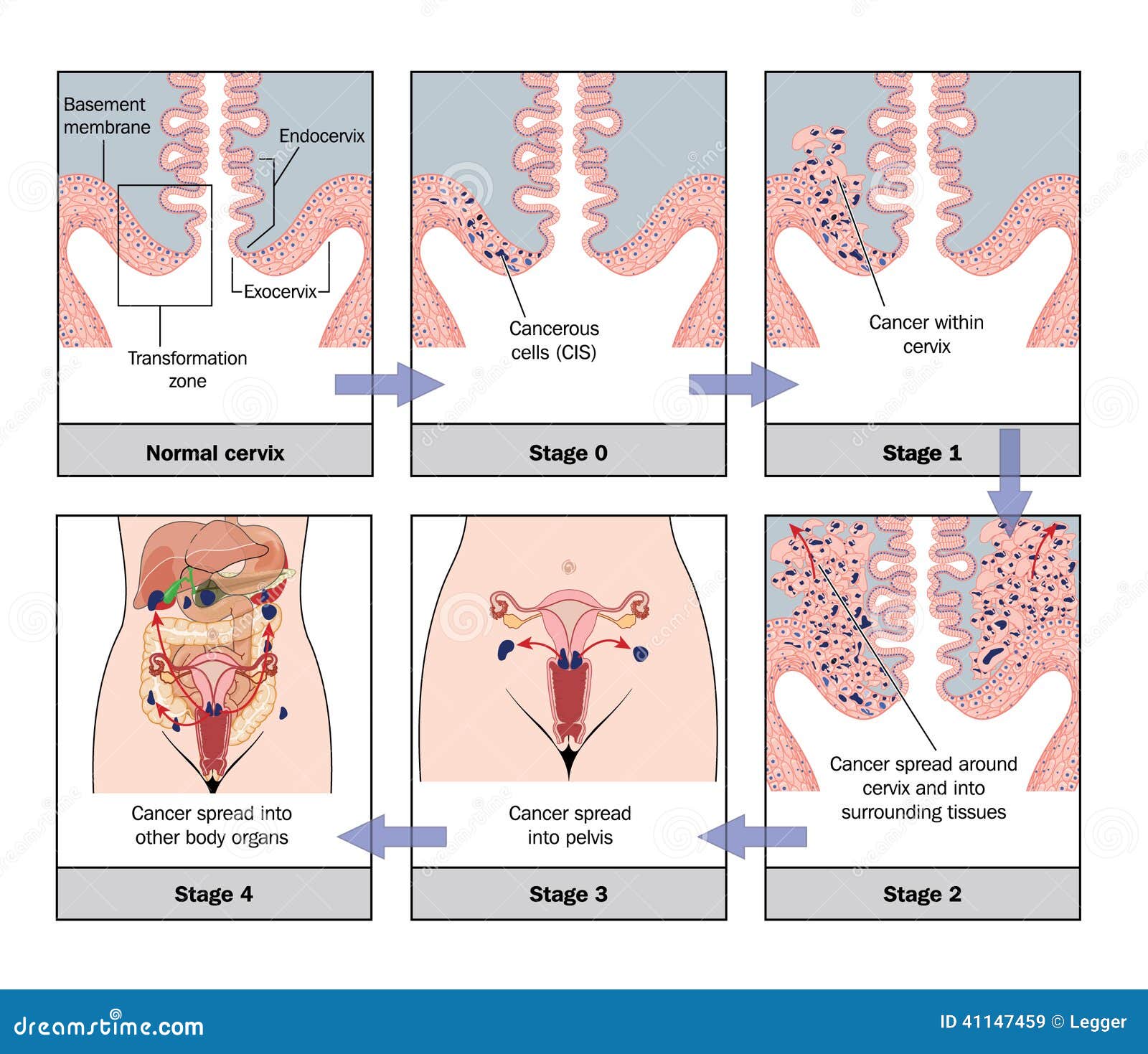 download biomarkers in cardiovascular disease