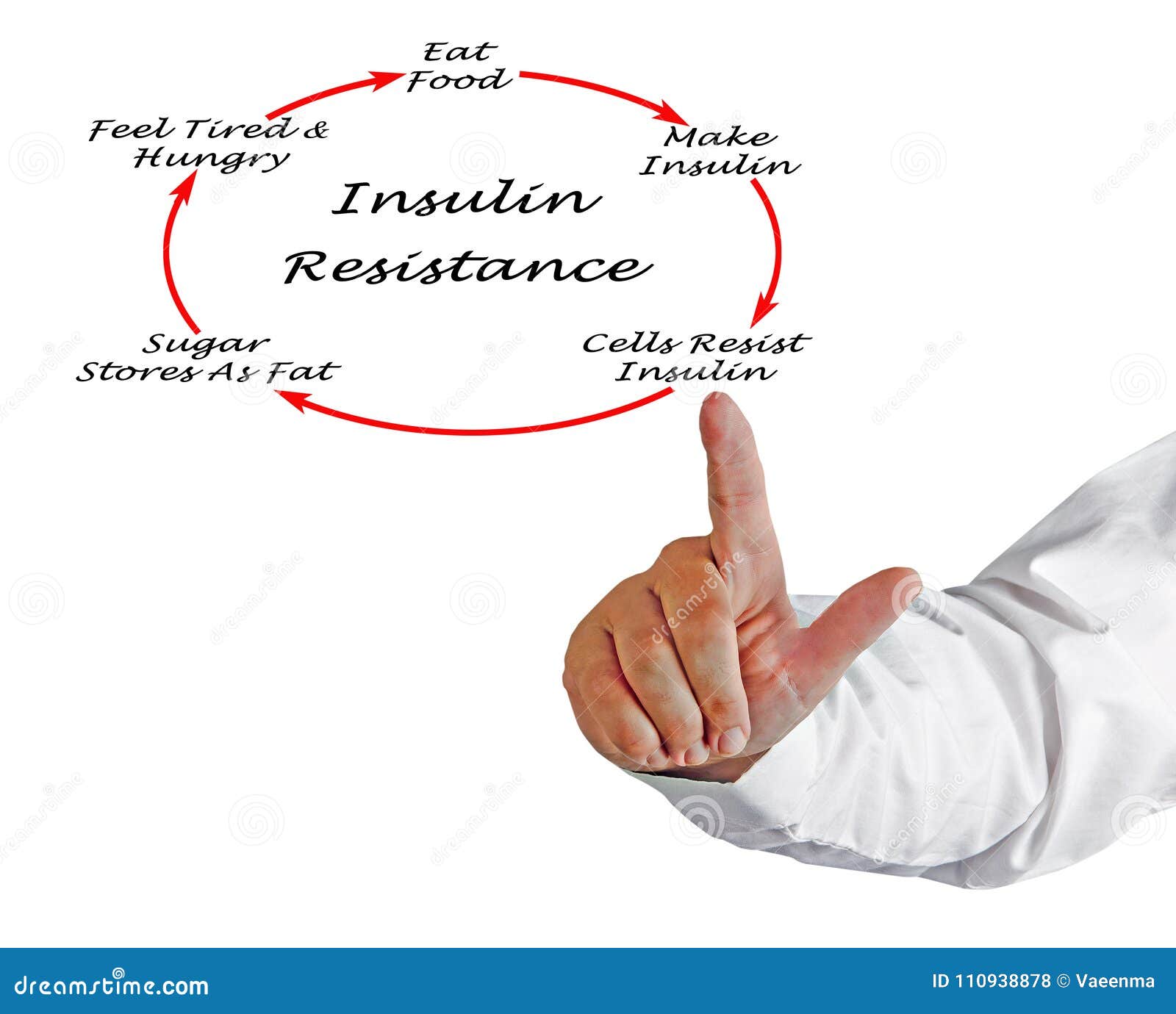 development of insulin resistance