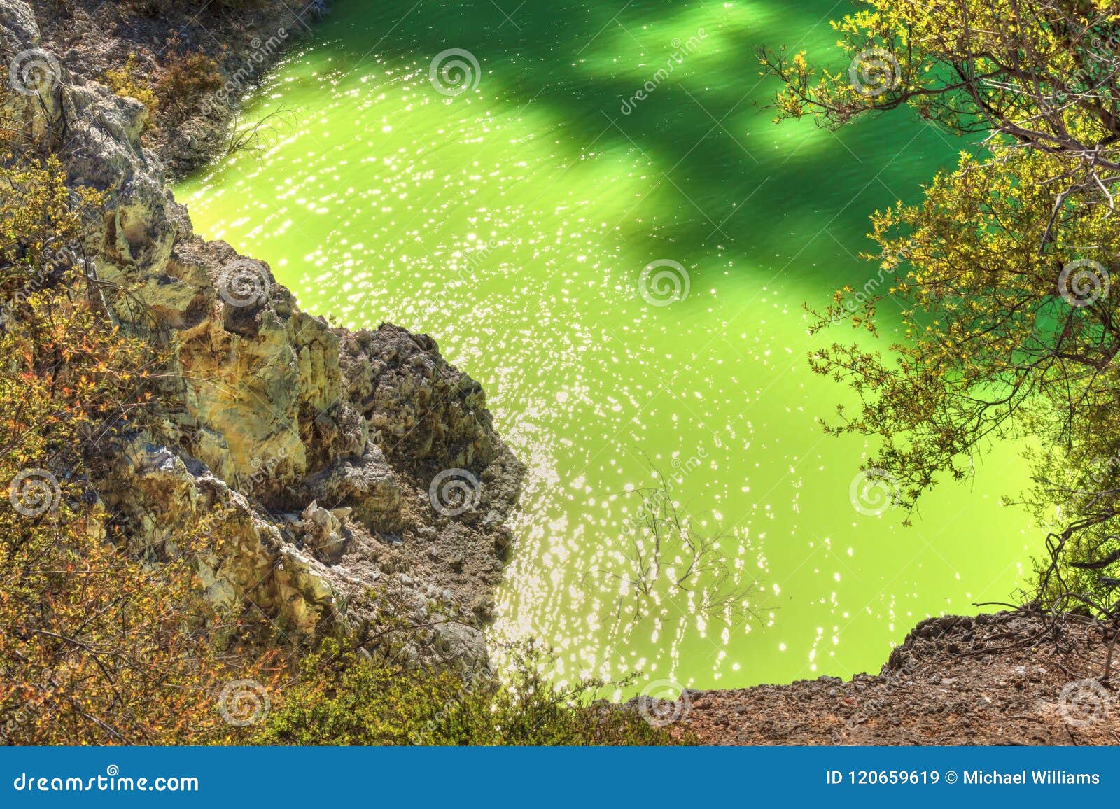 the `devil`s bath`, a neon-green mineral laden lake in waiotapu, new zealand