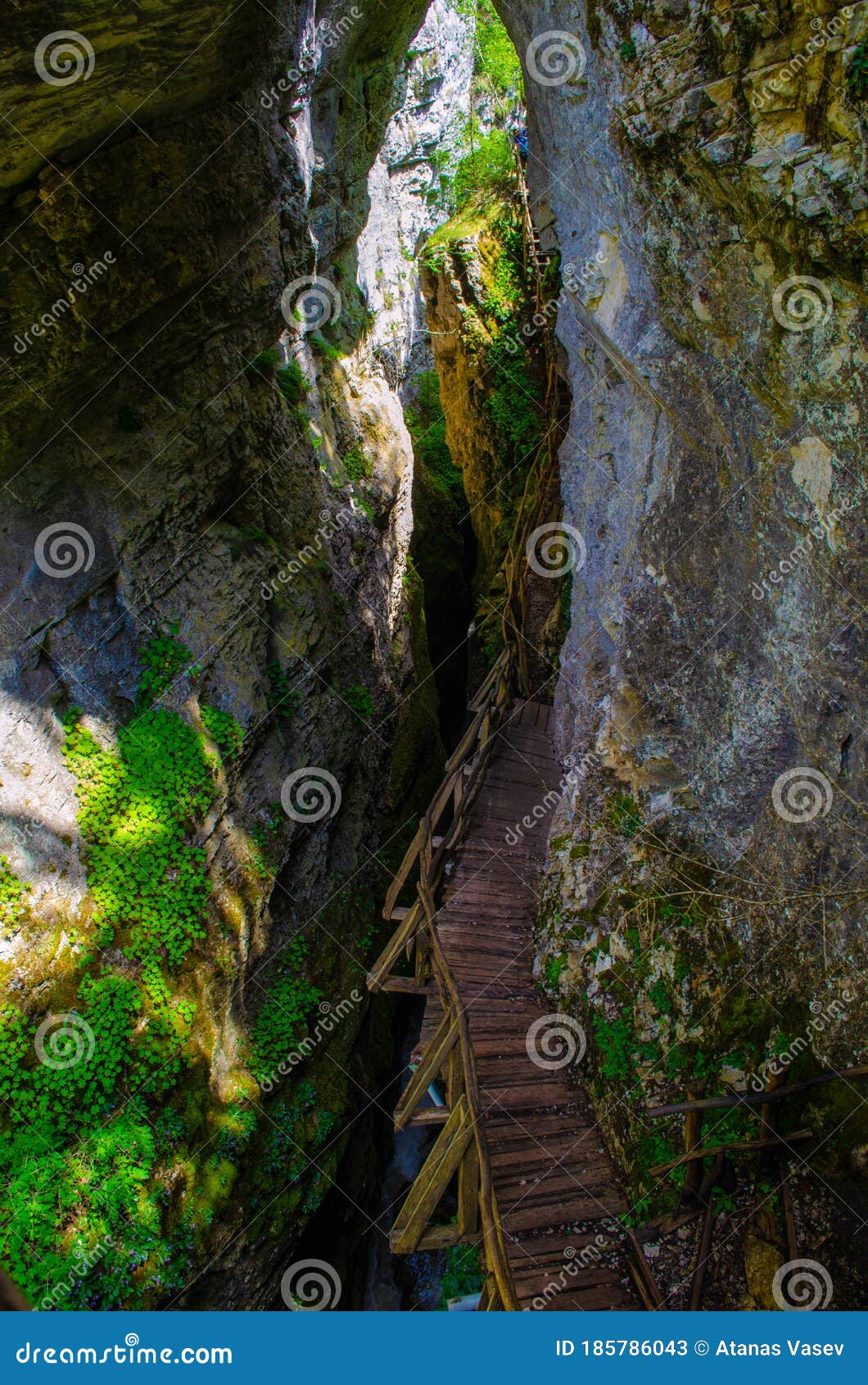 part of the wooden path thru the devil`s path