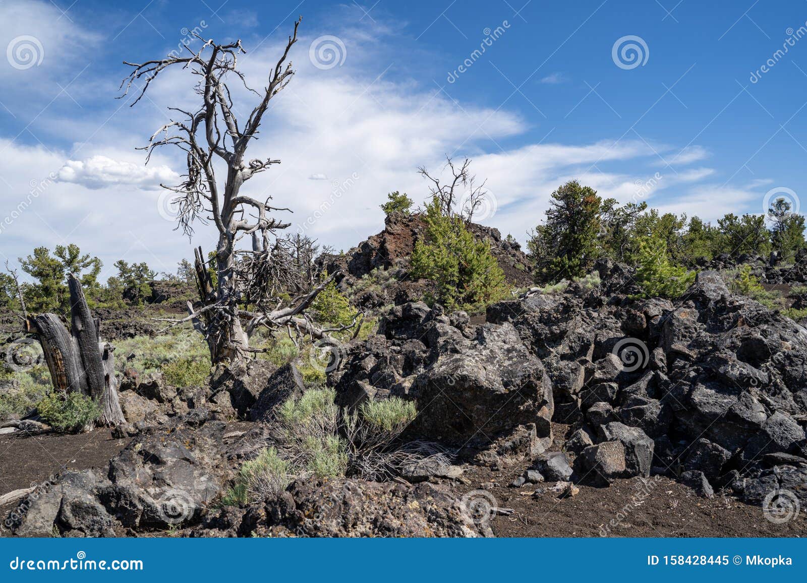 devils orchard trail in craters of the moon national monument near arco, idaho. desert sagebrush and volcanic rock