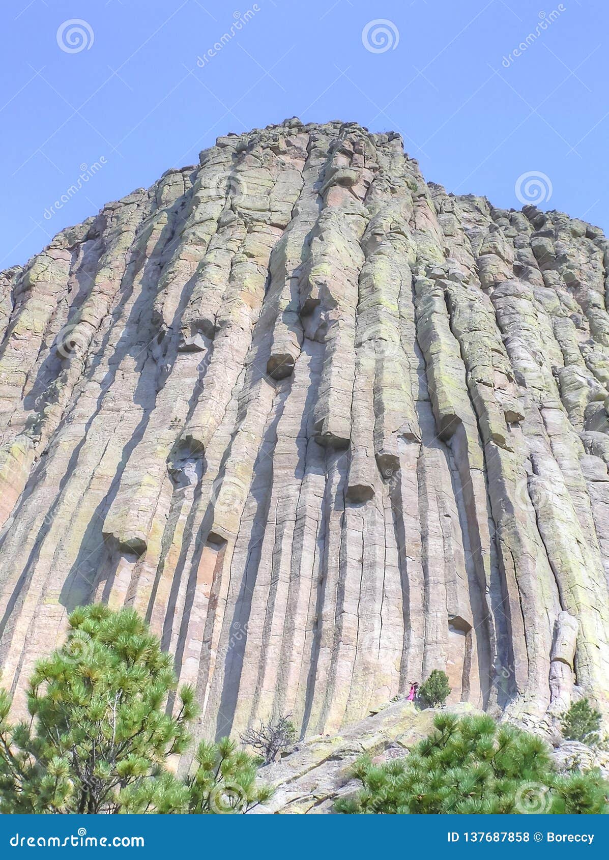 looking up at devils tower national monument in wyoming