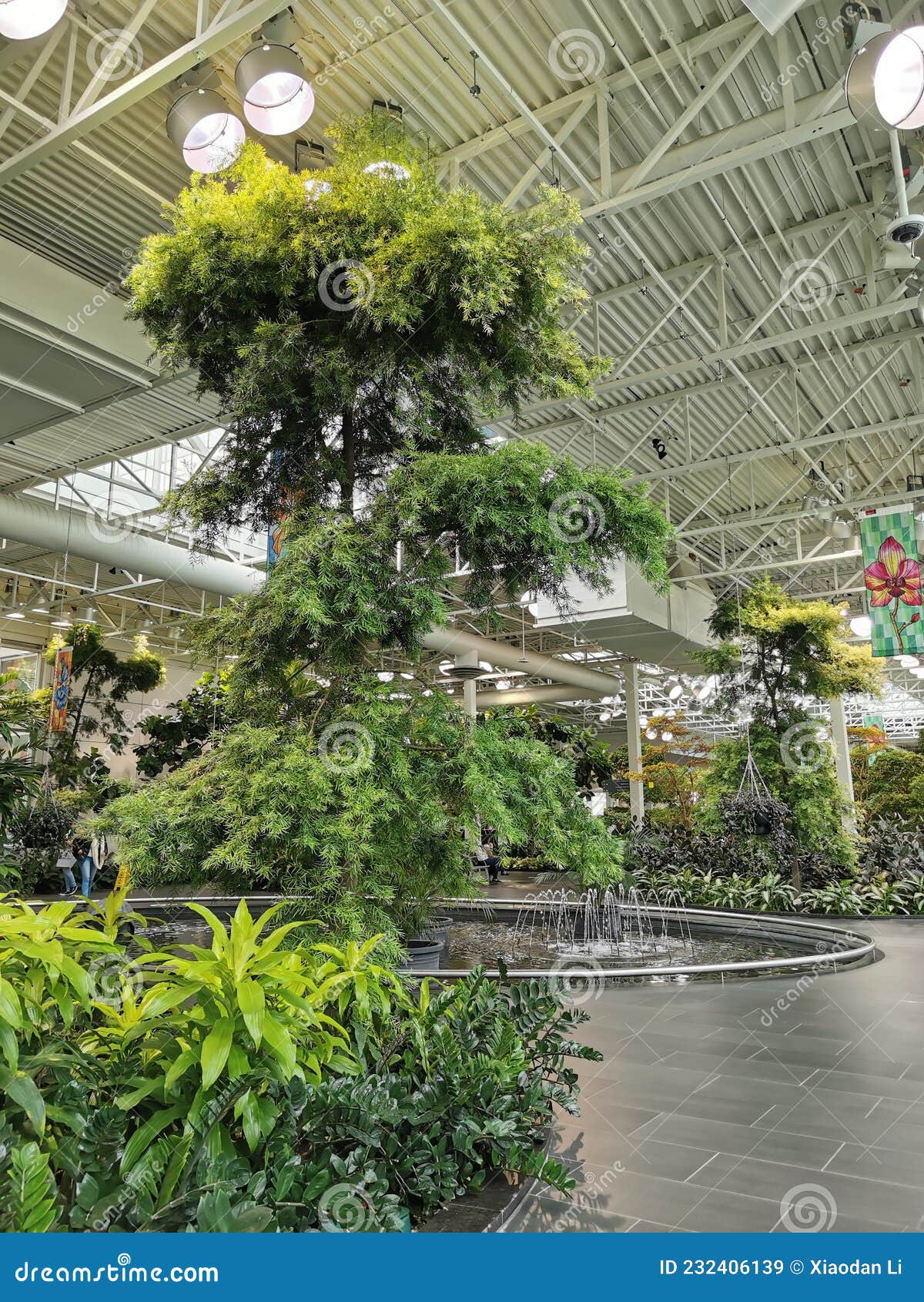 Devonian Indoor Garden Calgary Downtown Editorial Stock Image Image of flower, plant 232406139