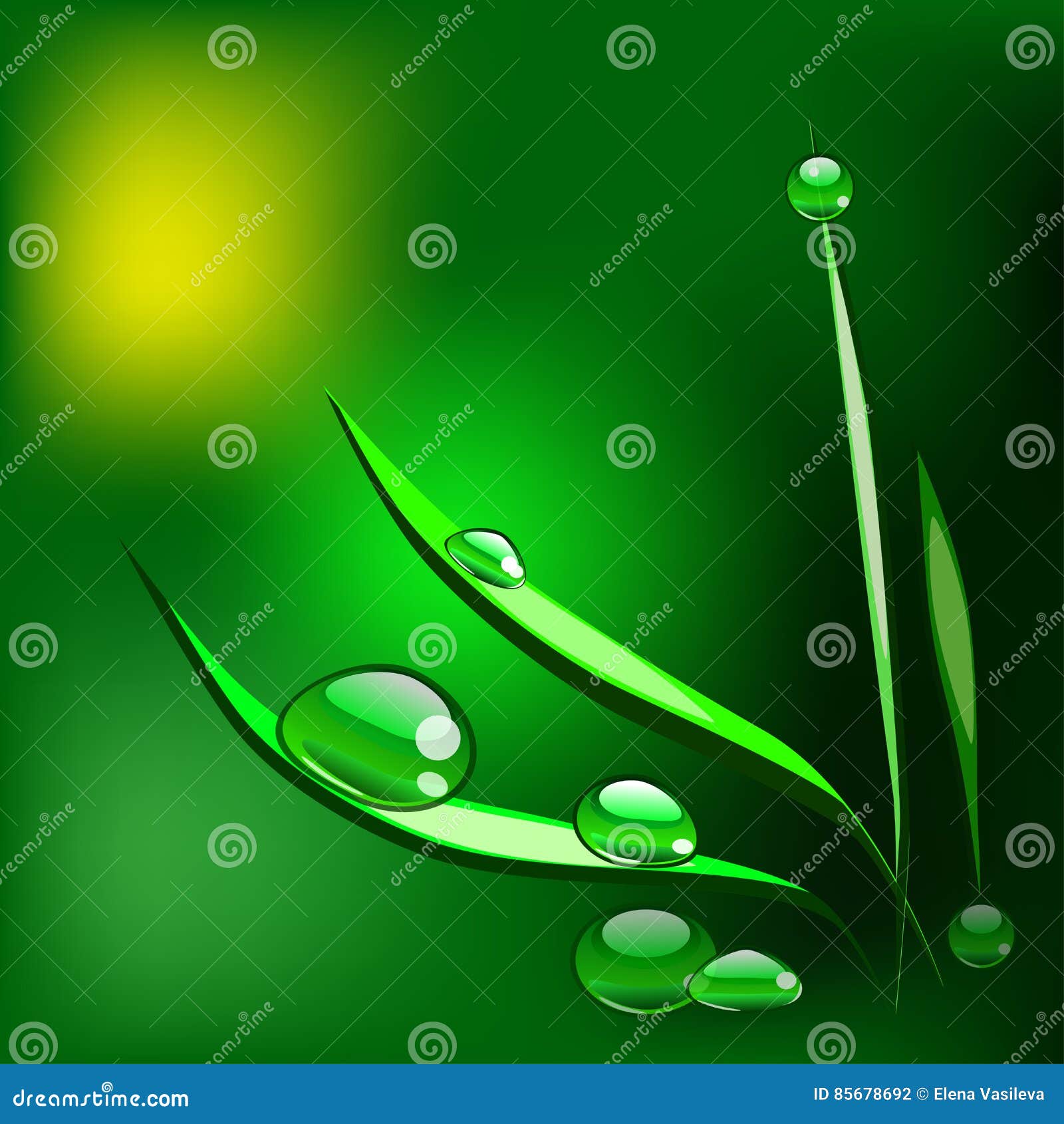 Green Grass With Dew Drops Cartoon Vector | CartoonDealer.com #31386105