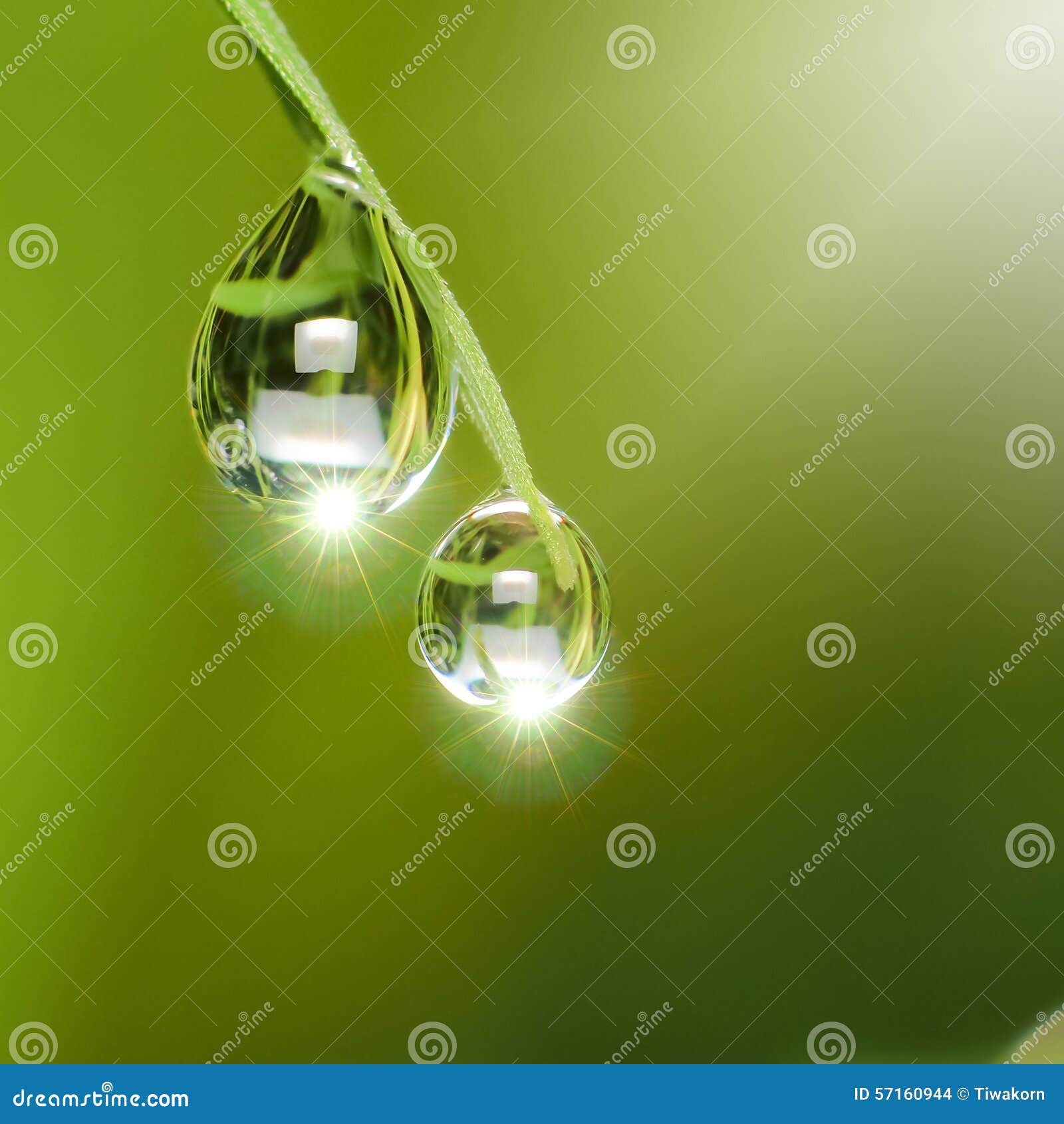 dew drops with light fair