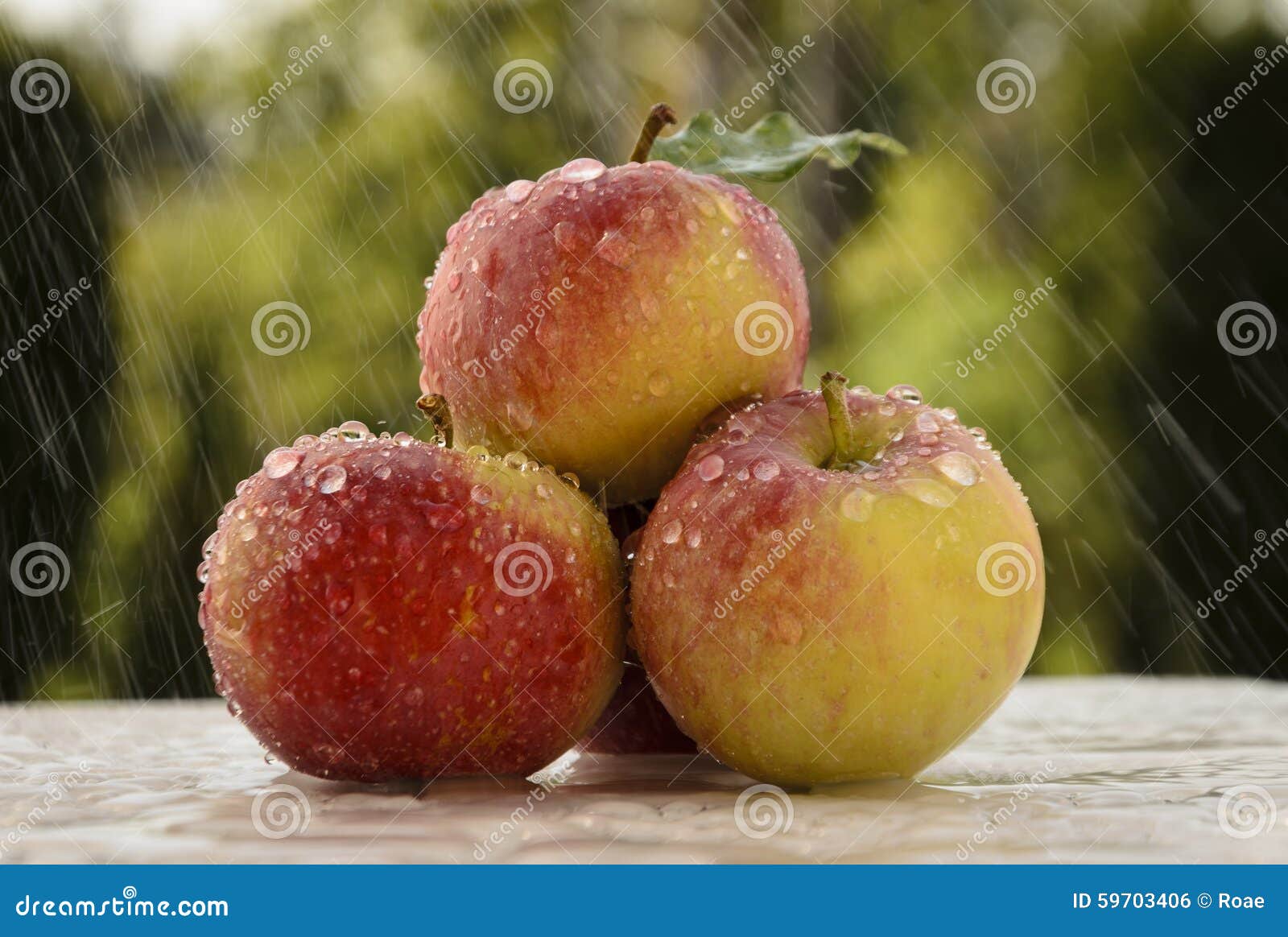 Dewdrops on the Juicy Fruits Stock Photo Image of bite, juice 59703406
