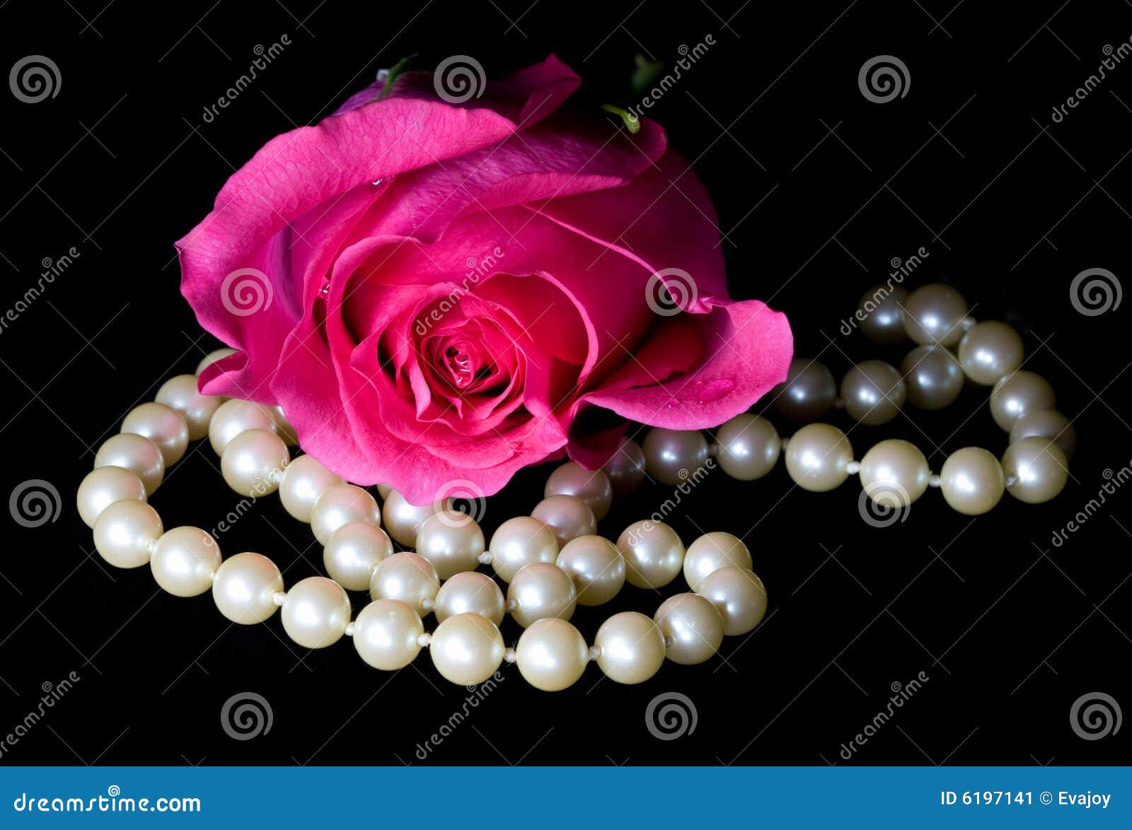 dewey pink rose and pearls