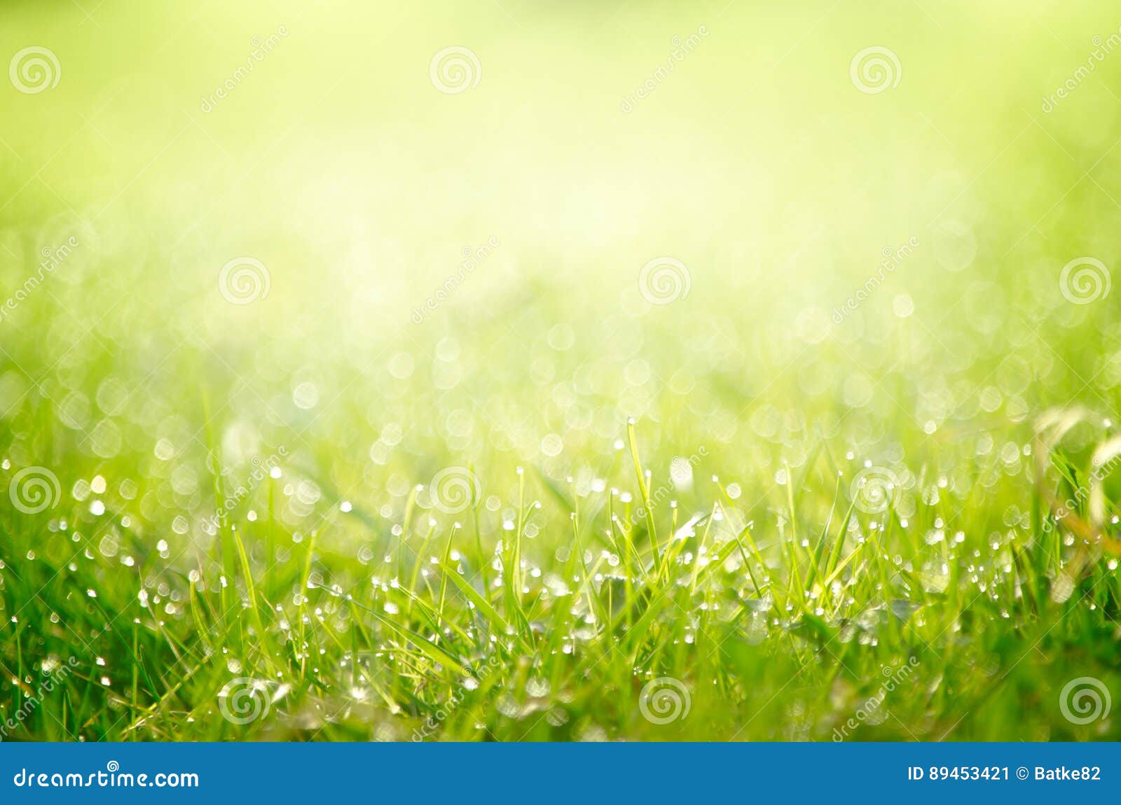 Dewy grass background stock image. Image of spring, lawn - 89453421